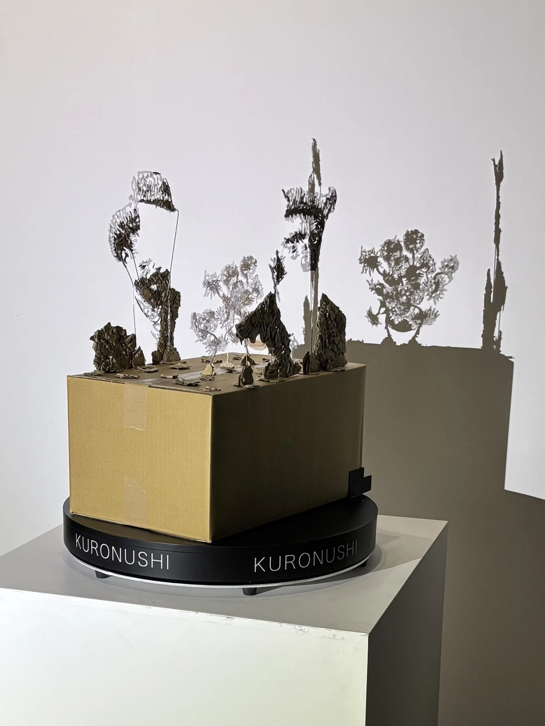 黒主厳太展「ダンボール影アート®の世界」に行ってきた話｜三野誠子