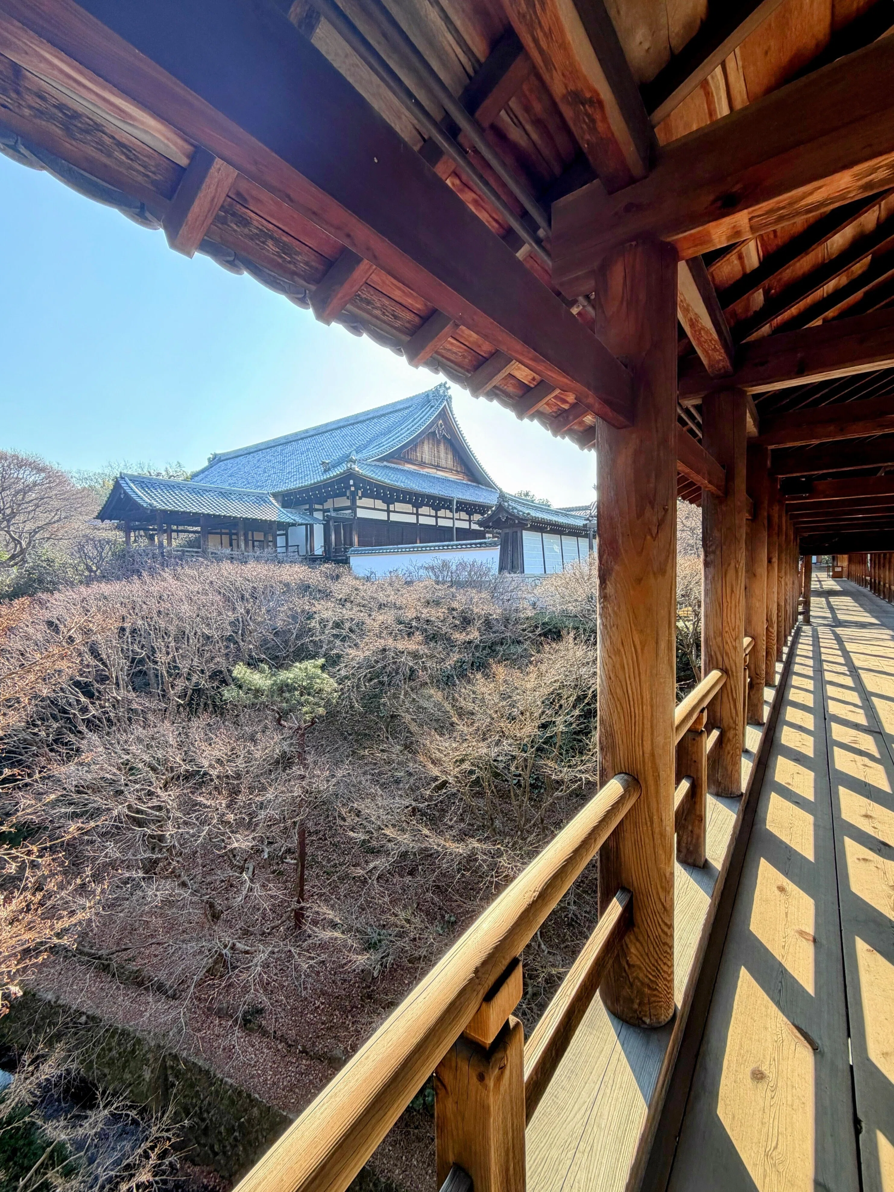 渓谷に架かる通天橋が美しい「東福寺」をタクシーでご案内♪｜雅京都観光