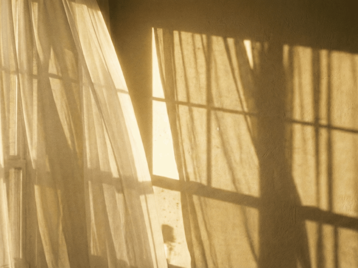 西日が差し込む部屋のカーテンと、壁に落ちる窓枠の影