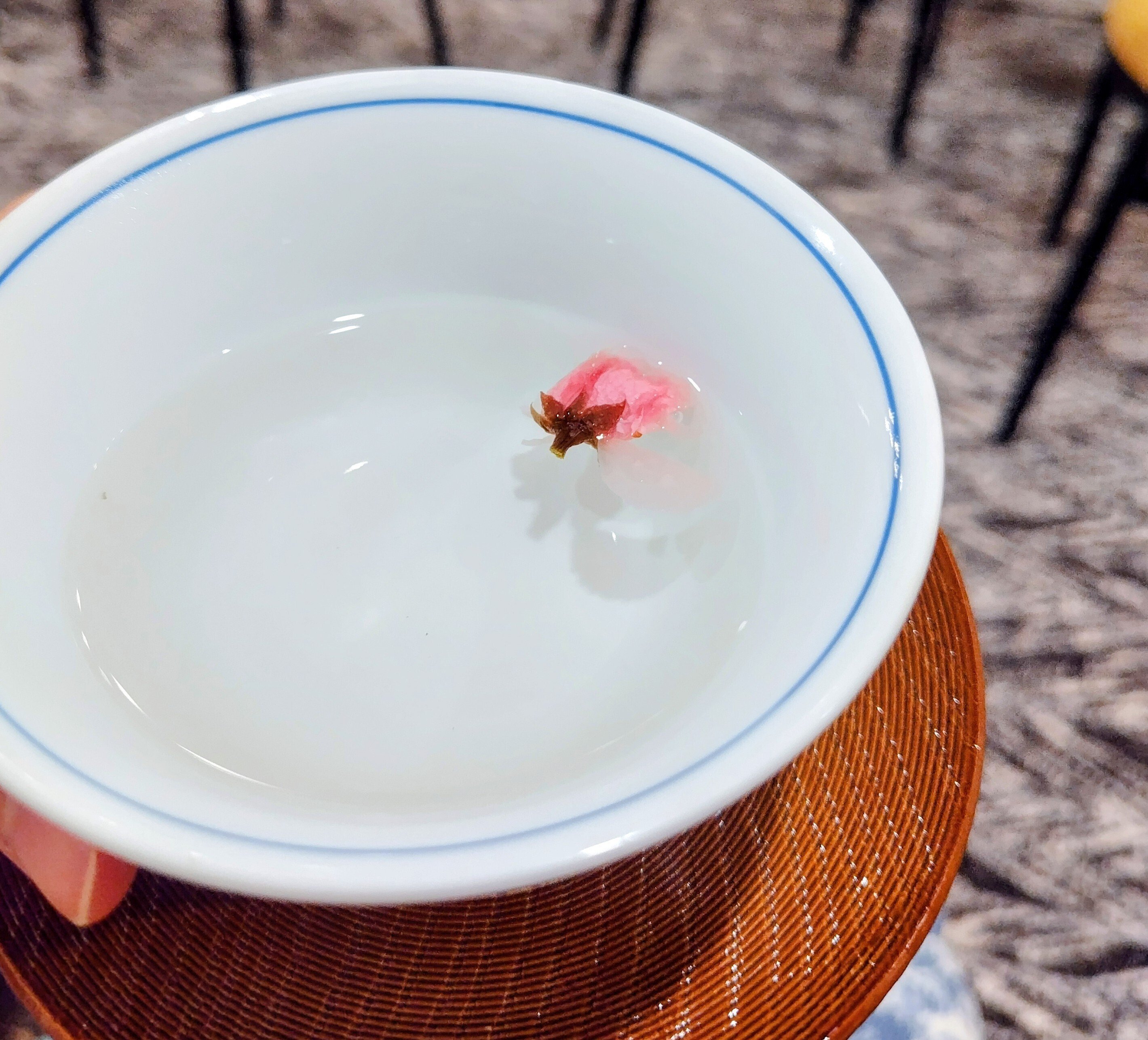 写真で自己紹介をする📷️｜Miz