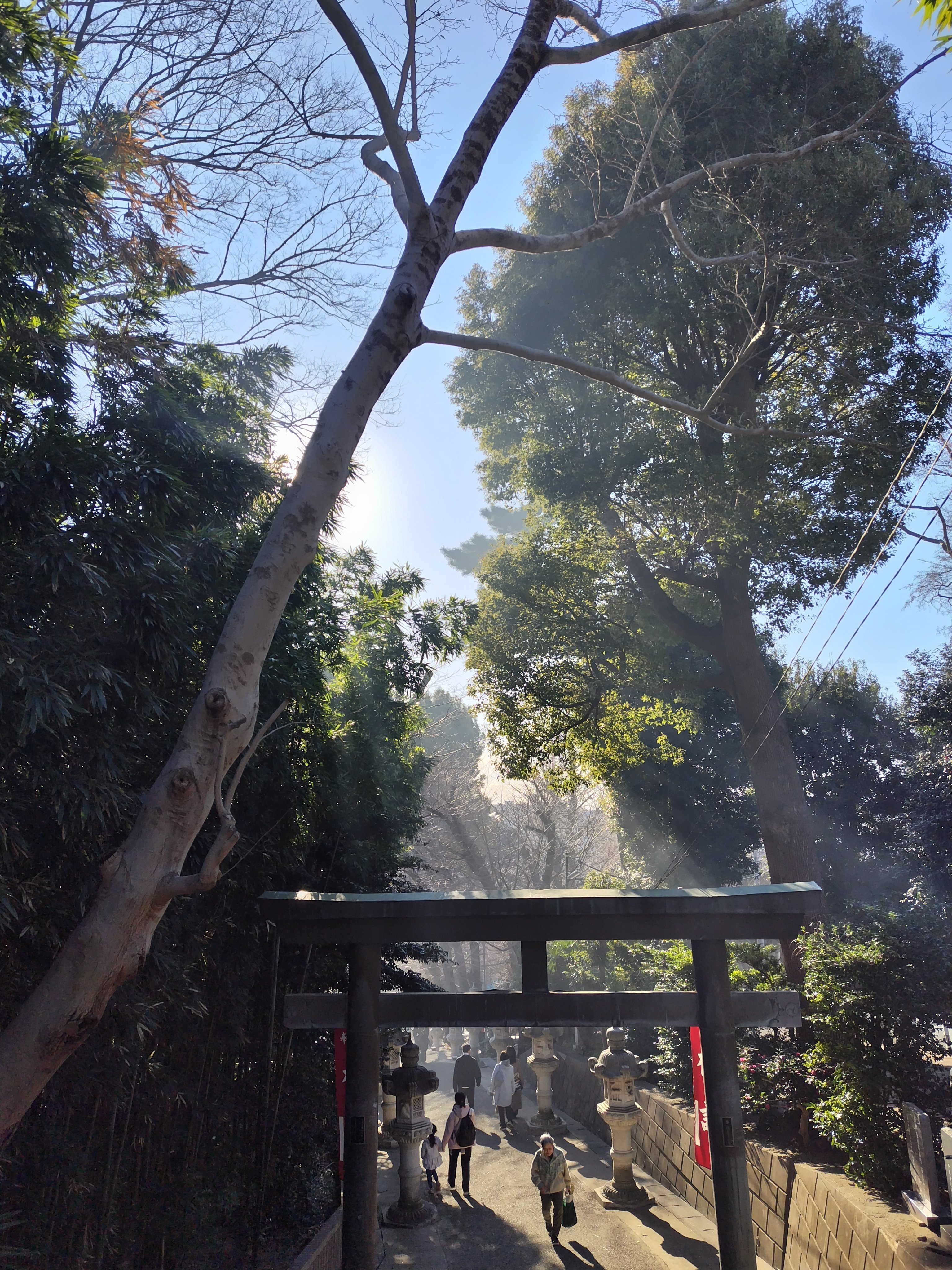 写真で自己紹介をする📷️｜Miz