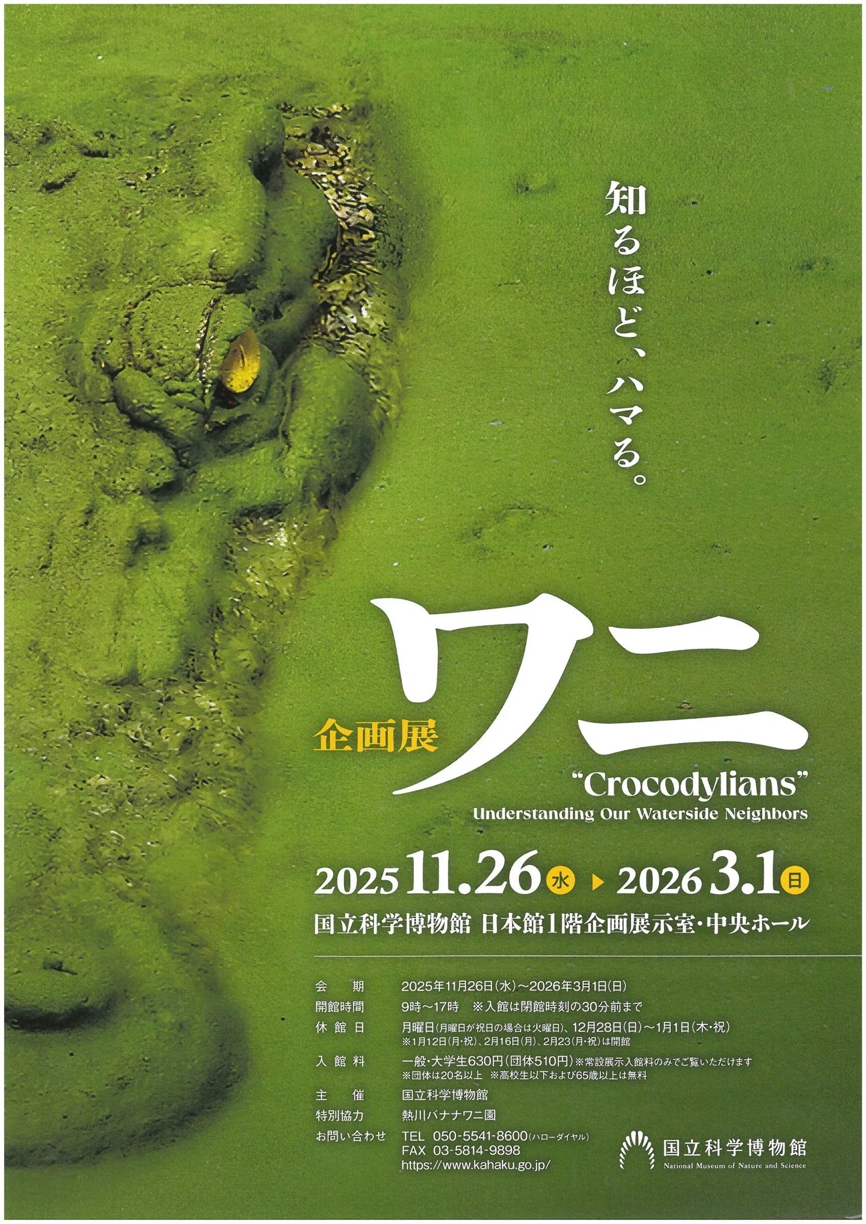 おかわり大絶滅展と企画展ワニ｜ステファニーTK
