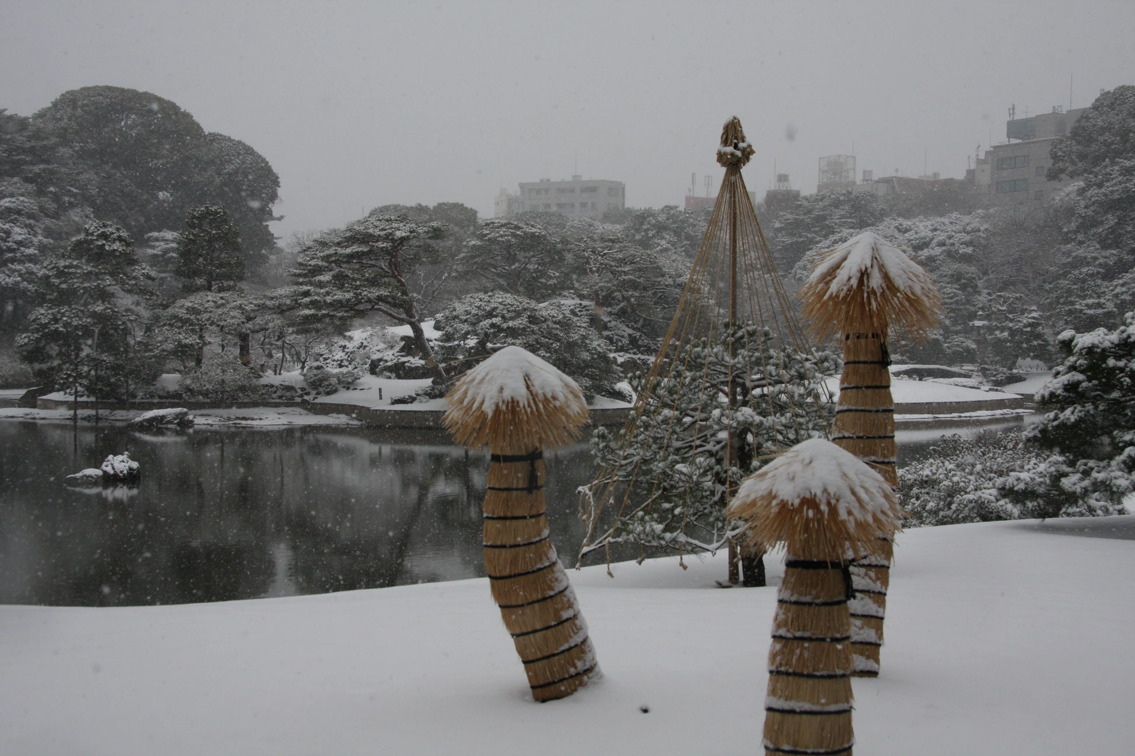 六義園：東京に雪が降ったので、どこかで雪景色を見たくなった｜Wait