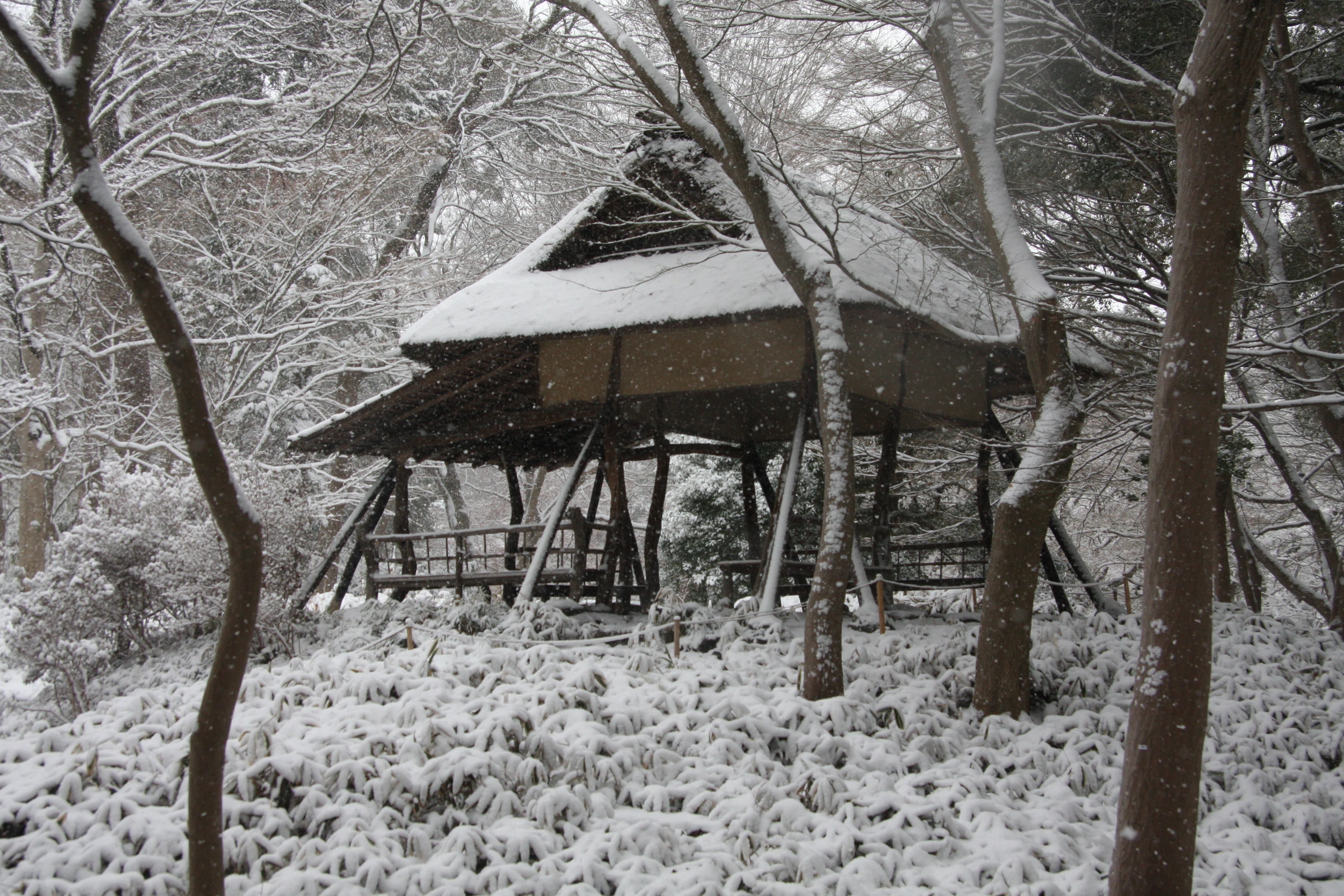 六義園：東京に雪が降ったので、どこかで雪景色を見たくなった｜Wait