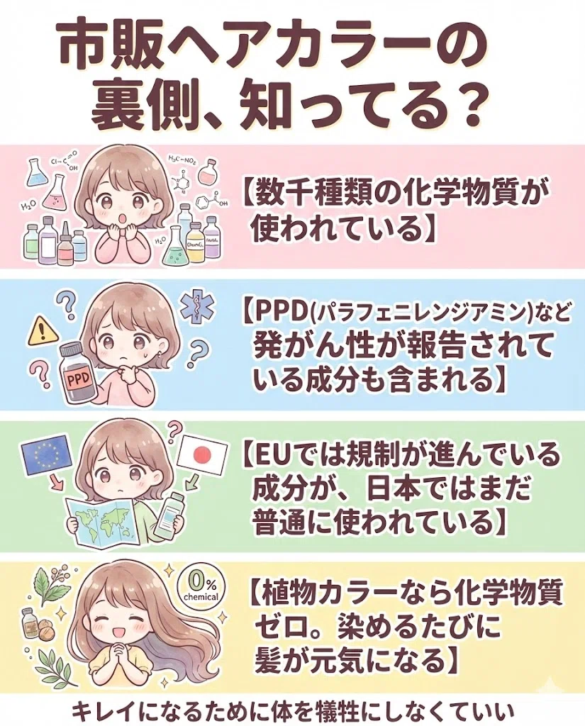 ヘナ 市販ヘアカラー 化学物質 PPD 植物カラー 図解