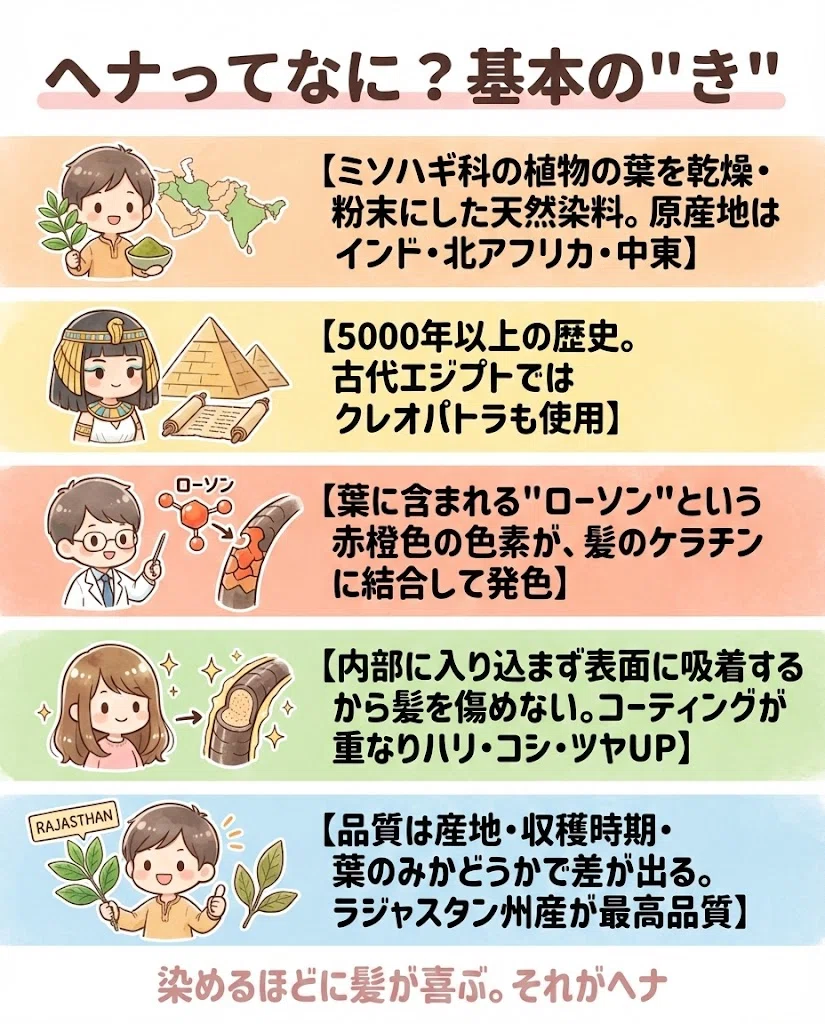  ヘナとは 基本 ローソン ラジャスタン 天然染料 図解