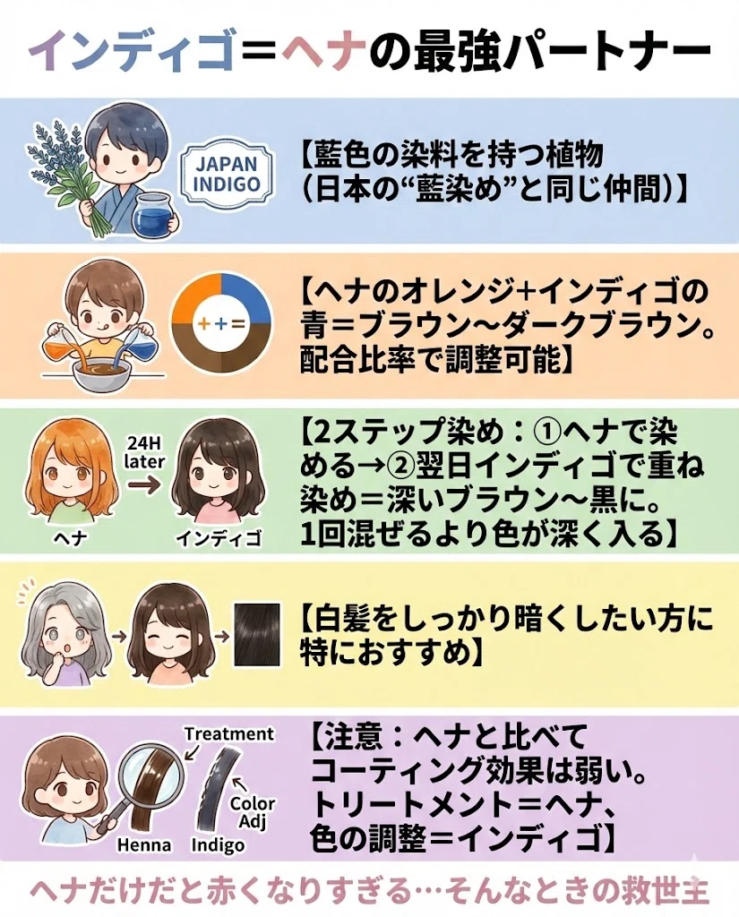 インディゴとは 基本 藍色 2ステップ染め ヘナと組み合わせ 図解