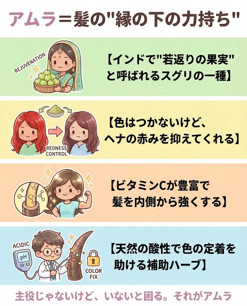 アムラとは 基本 トリートメント効果 赤み抑制 図解

