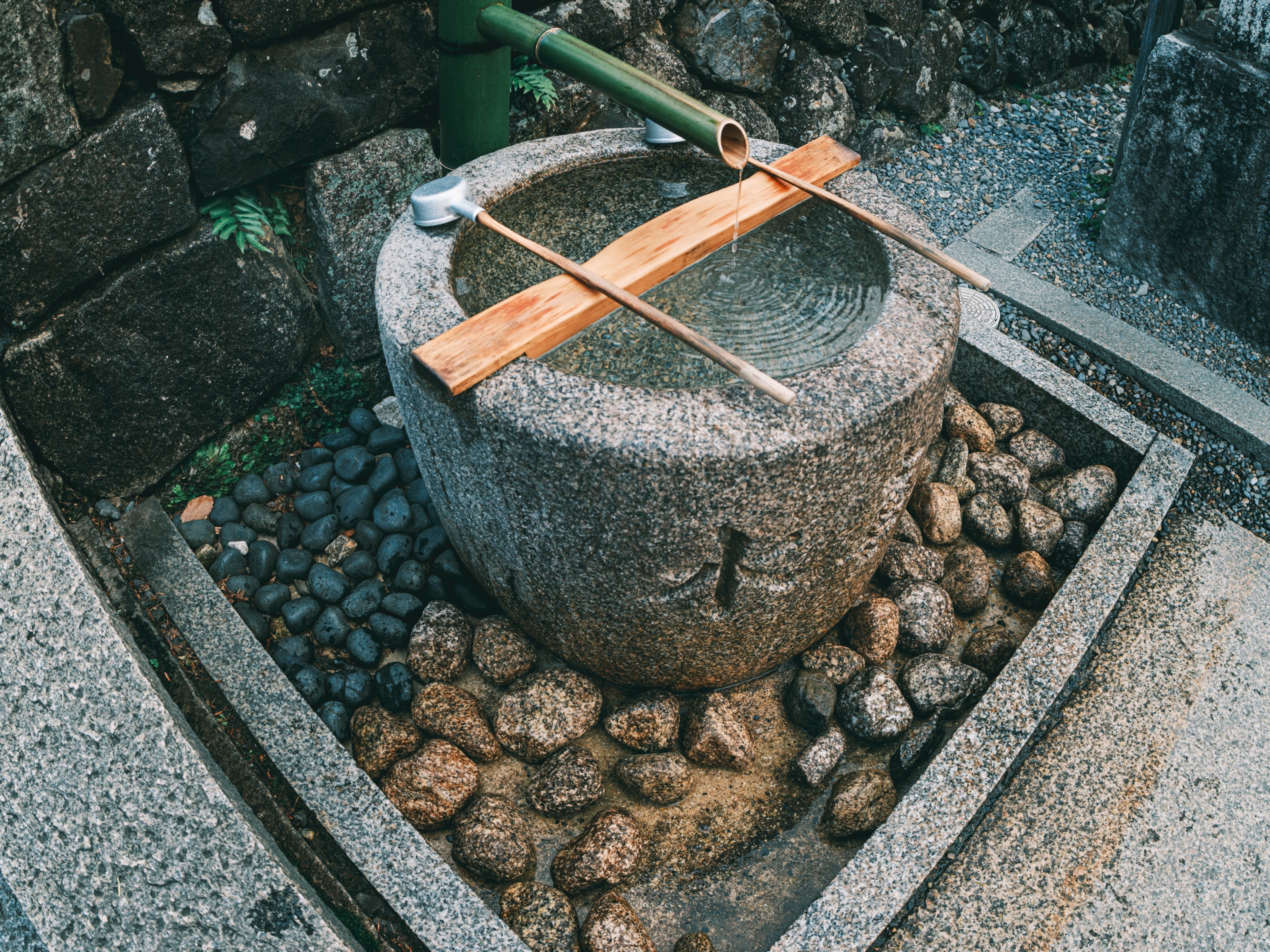 GFX用に魚眼レンズ:Arsat 30mm f3.5を買った。｜友人