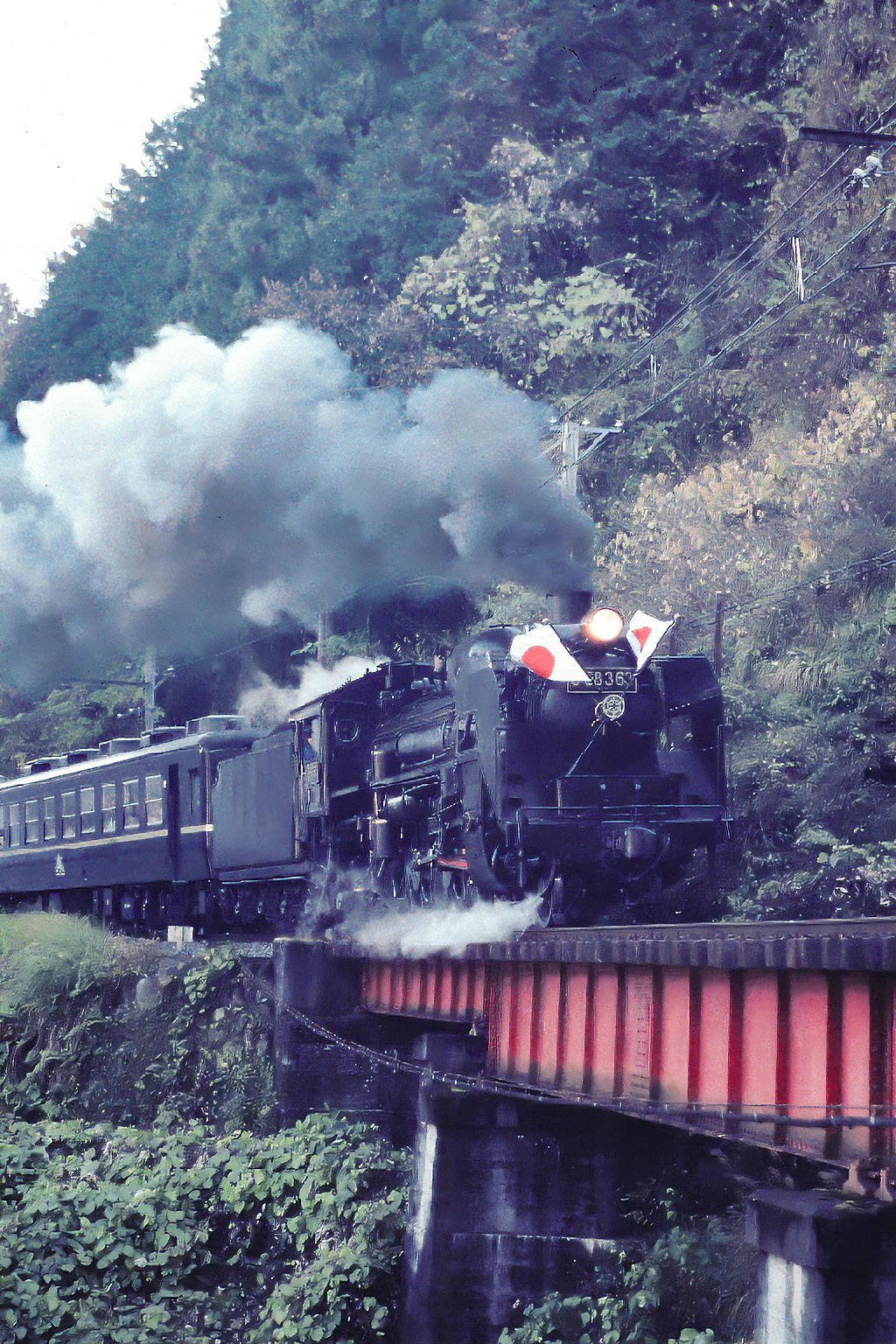 v215, 秩父鉄道：ラストラン （2001年）｜ひろやん