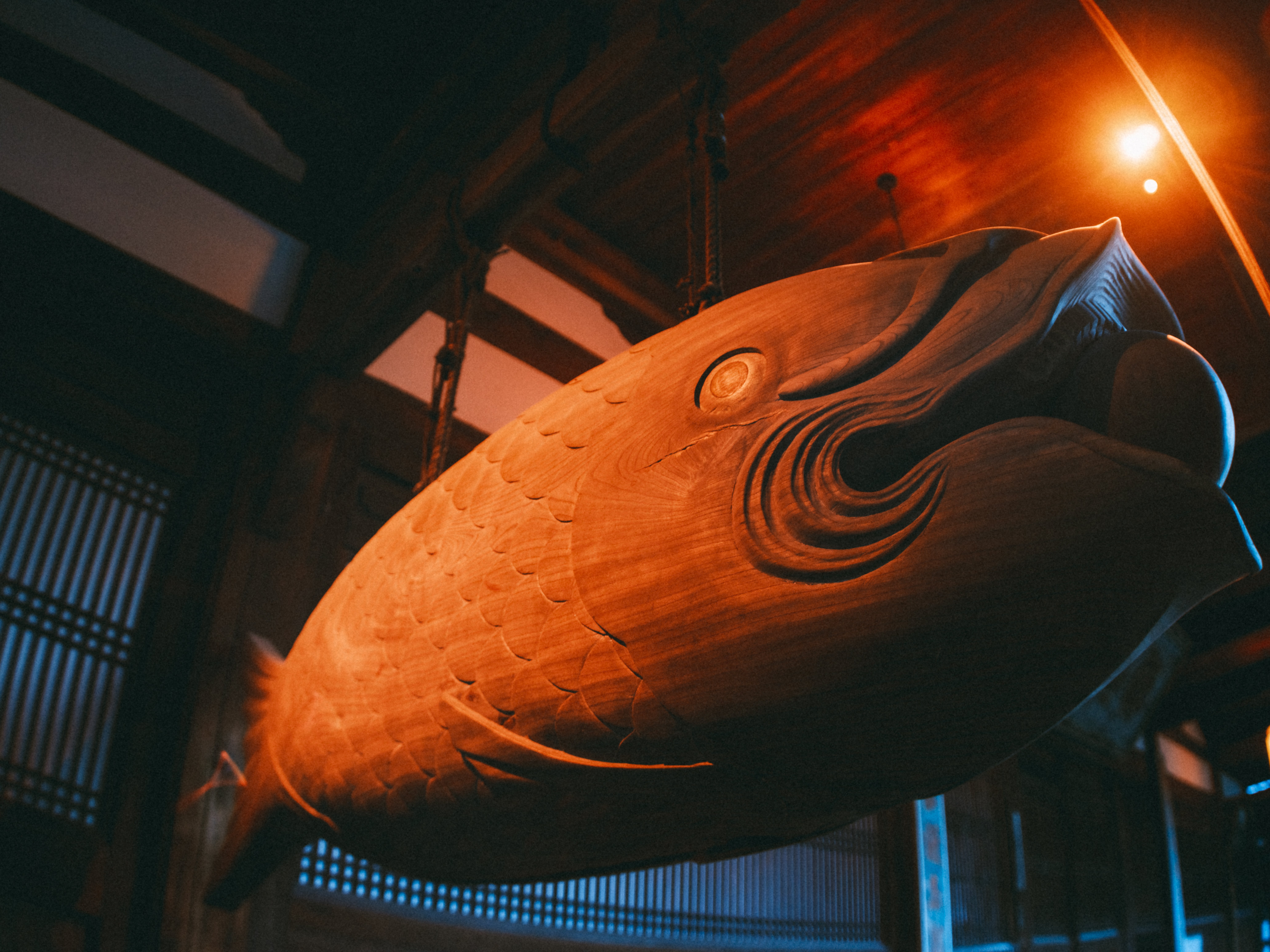 GFX用に魚眼レンズ:Arsat 30mm f3.5を買った。｜友人