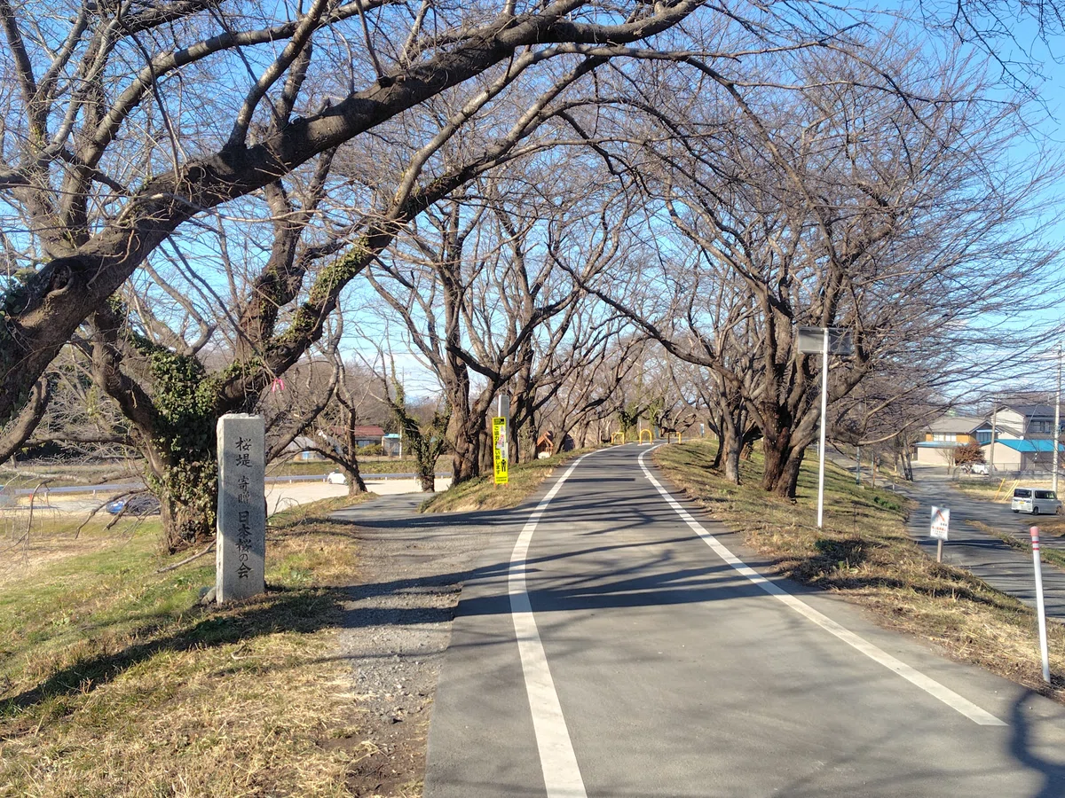 吉見さくら堤公園
