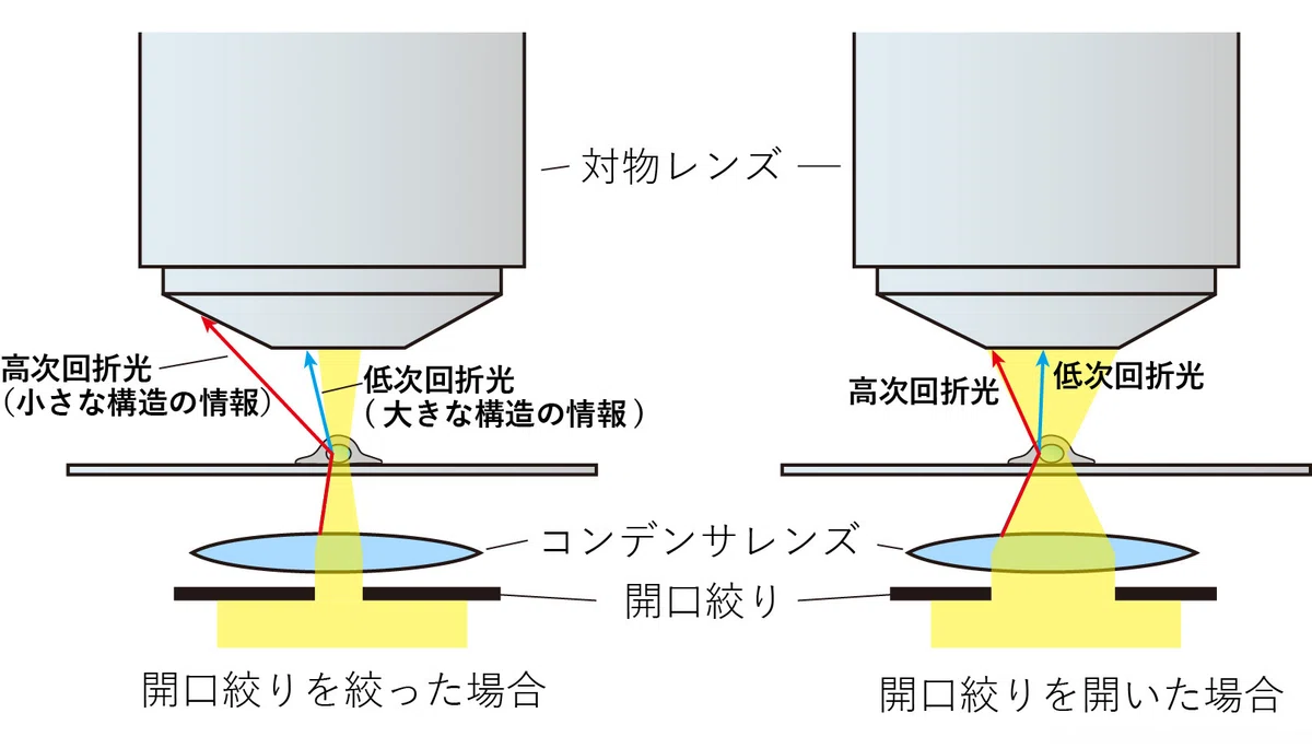 開口絞りを調整することによって分解能やコントラストが変化する理由について|市川 壮彦