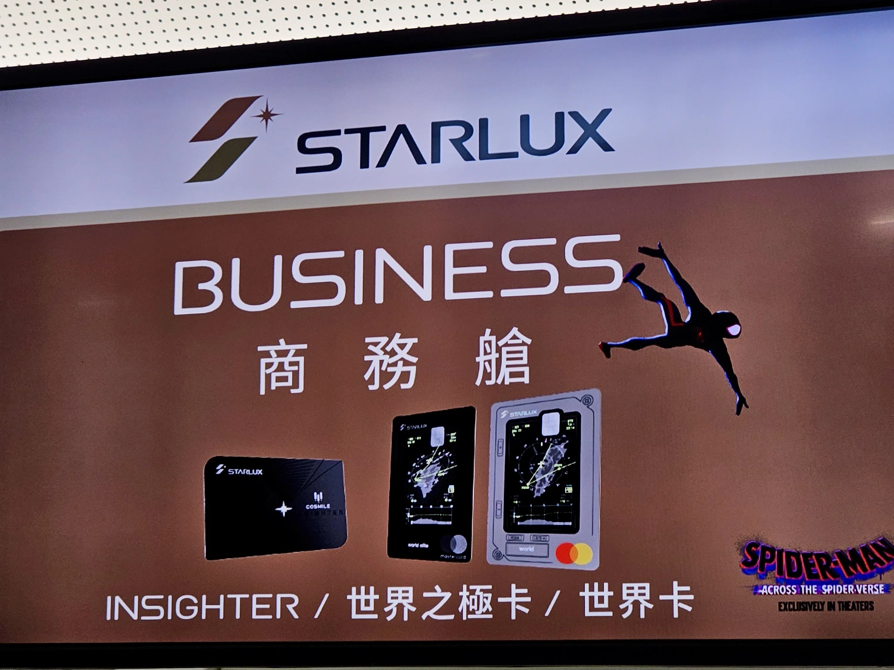 今日は好きな航空会社の話をさせてほしい。スターラックス航空のこと
