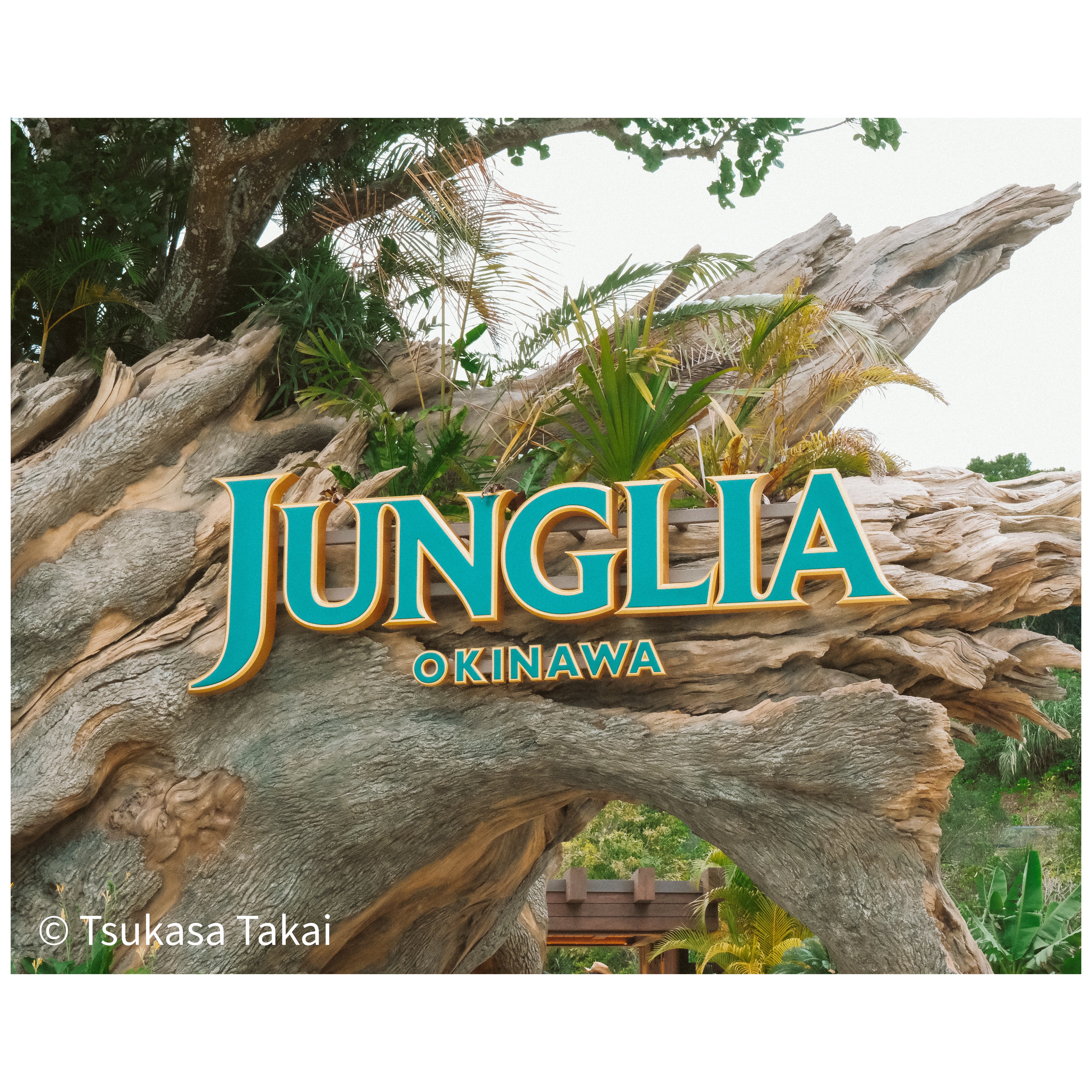 2026年2月｜大寒波の日にジャングリアへ行ってきた正直な感想！寒さを