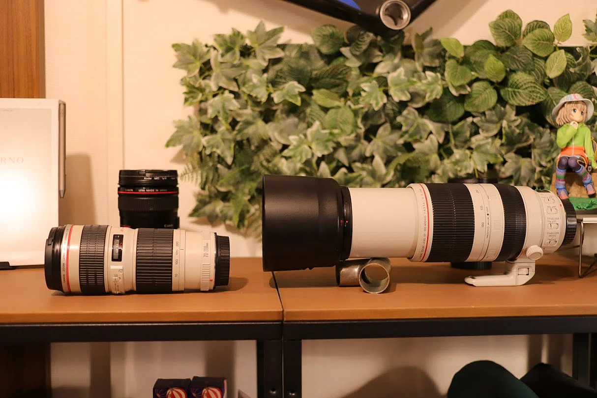 400mmの威力 【CANON】 EF100-400mm F4.5-5.6L IS II USM｜神楽坂