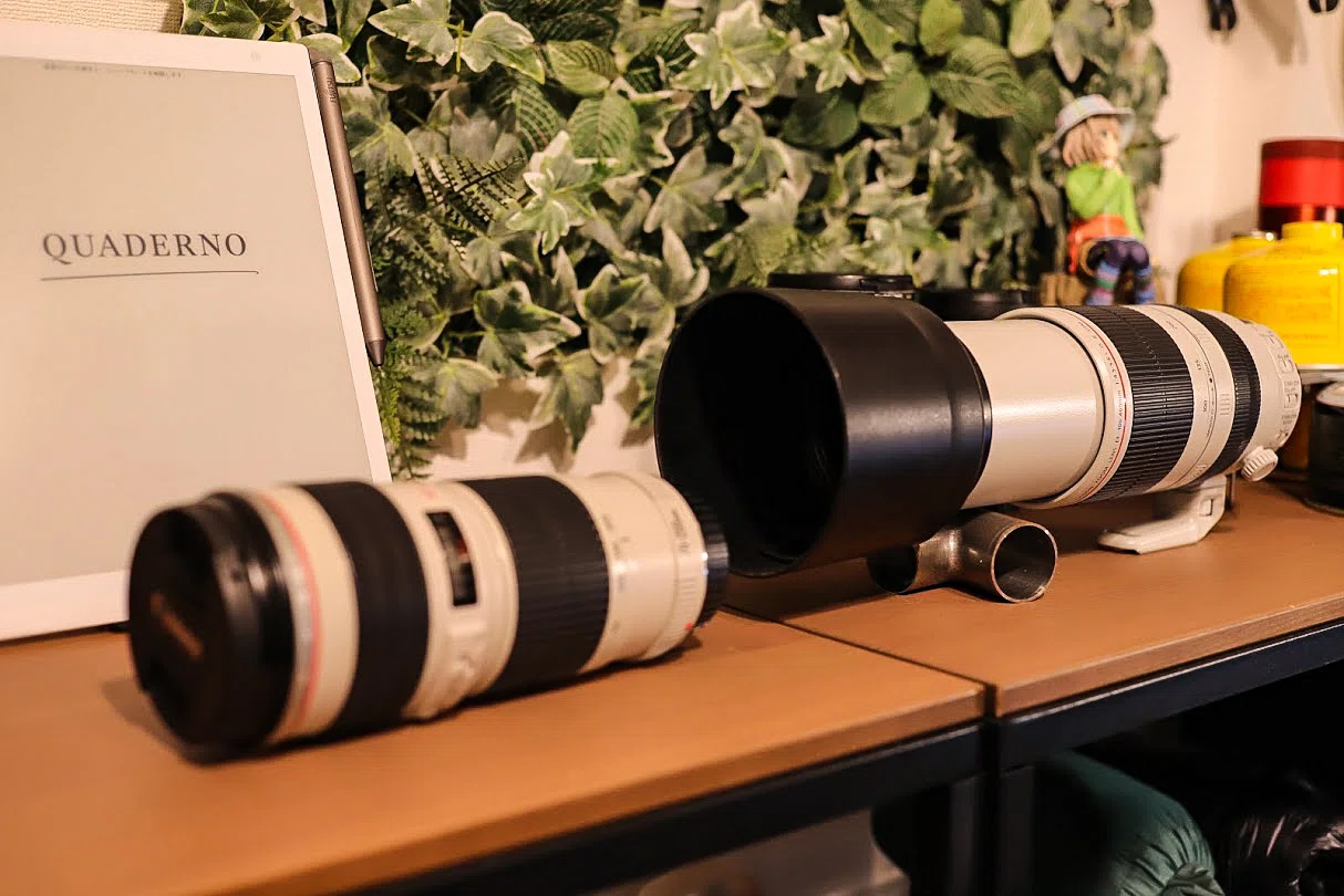 400mmの威力 【CANON】 EF100-400mm F4.5-5.6L IS II USM｜神楽坂