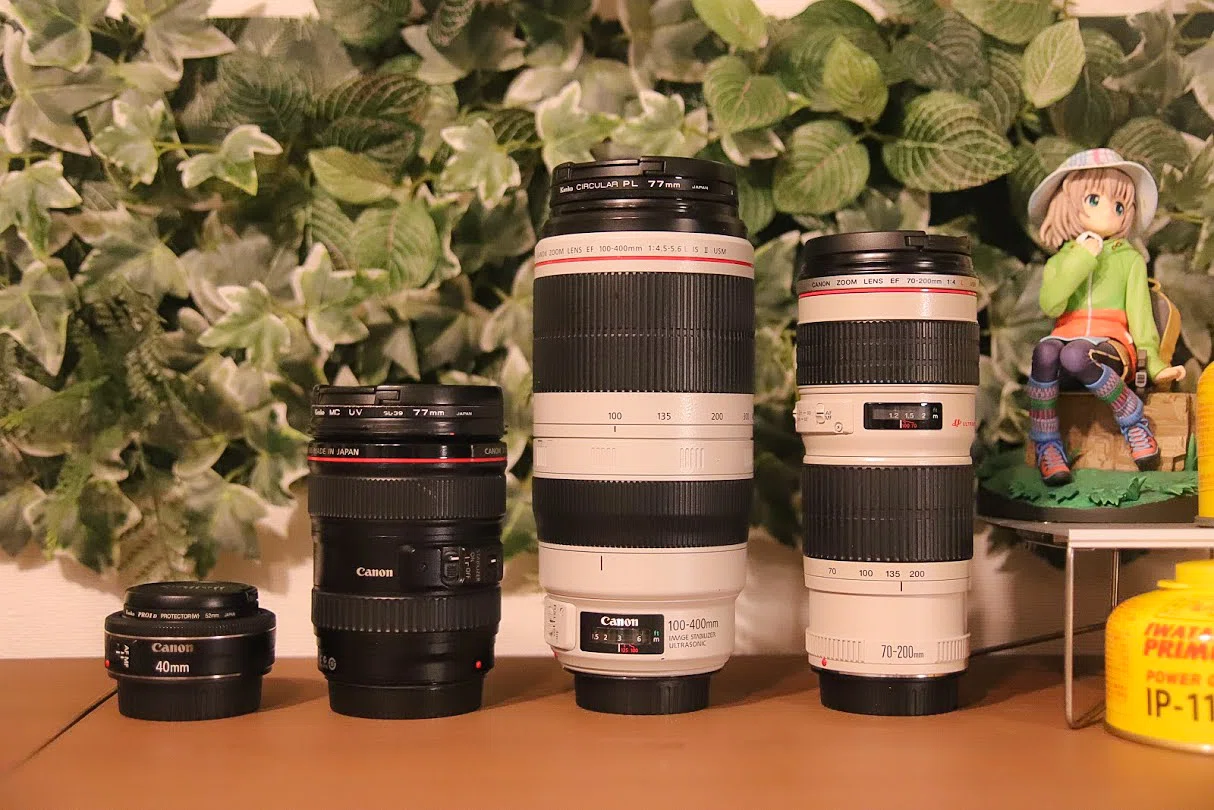 400mmの威力 【CANON】 EF100-400mm F4.5-5.6L IS II USM｜神楽坂