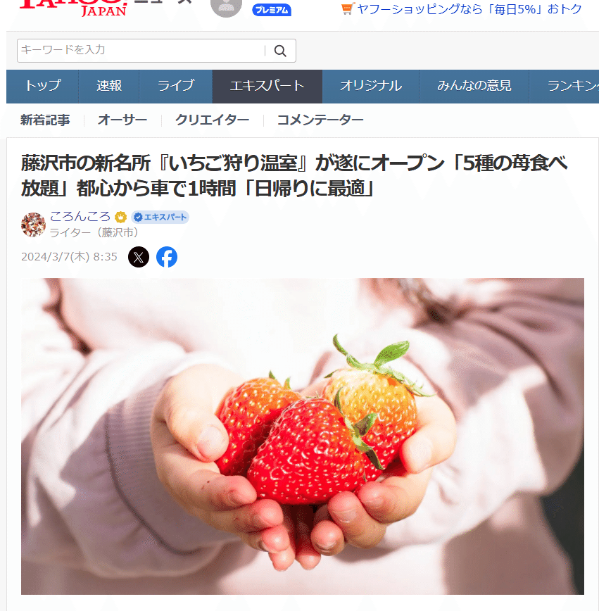 藤沢市の新名所『いちご狩り温室』が遂にオープン「5種の苺食べ放題