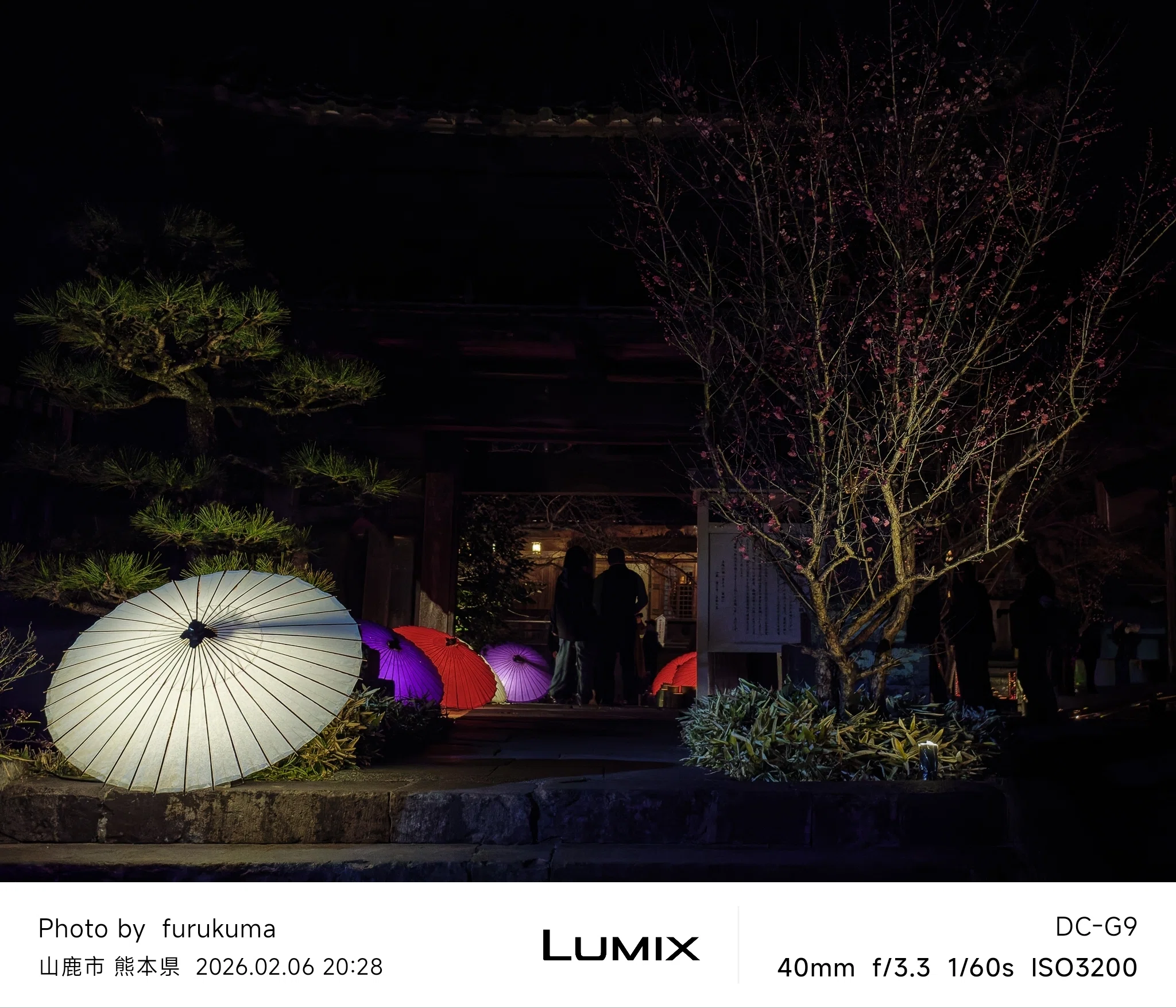 山鹿灯籠浪漫・百華百彩2026 #4 | LUMIX G9 PRO｜furukuma