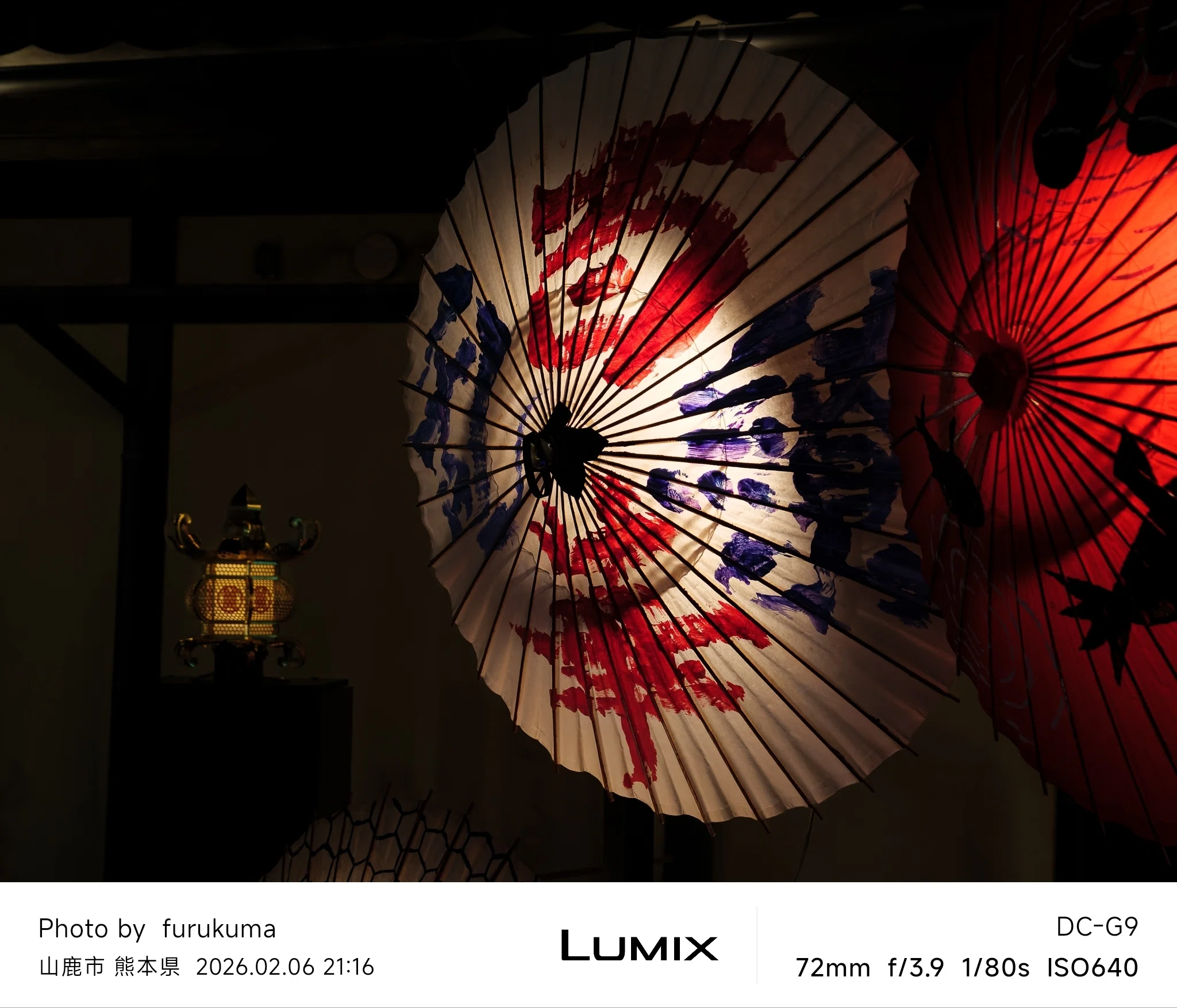 山鹿灯籠浪漫・百華百彩2026 #4 | LUMIX G9 PRO｜furukuma