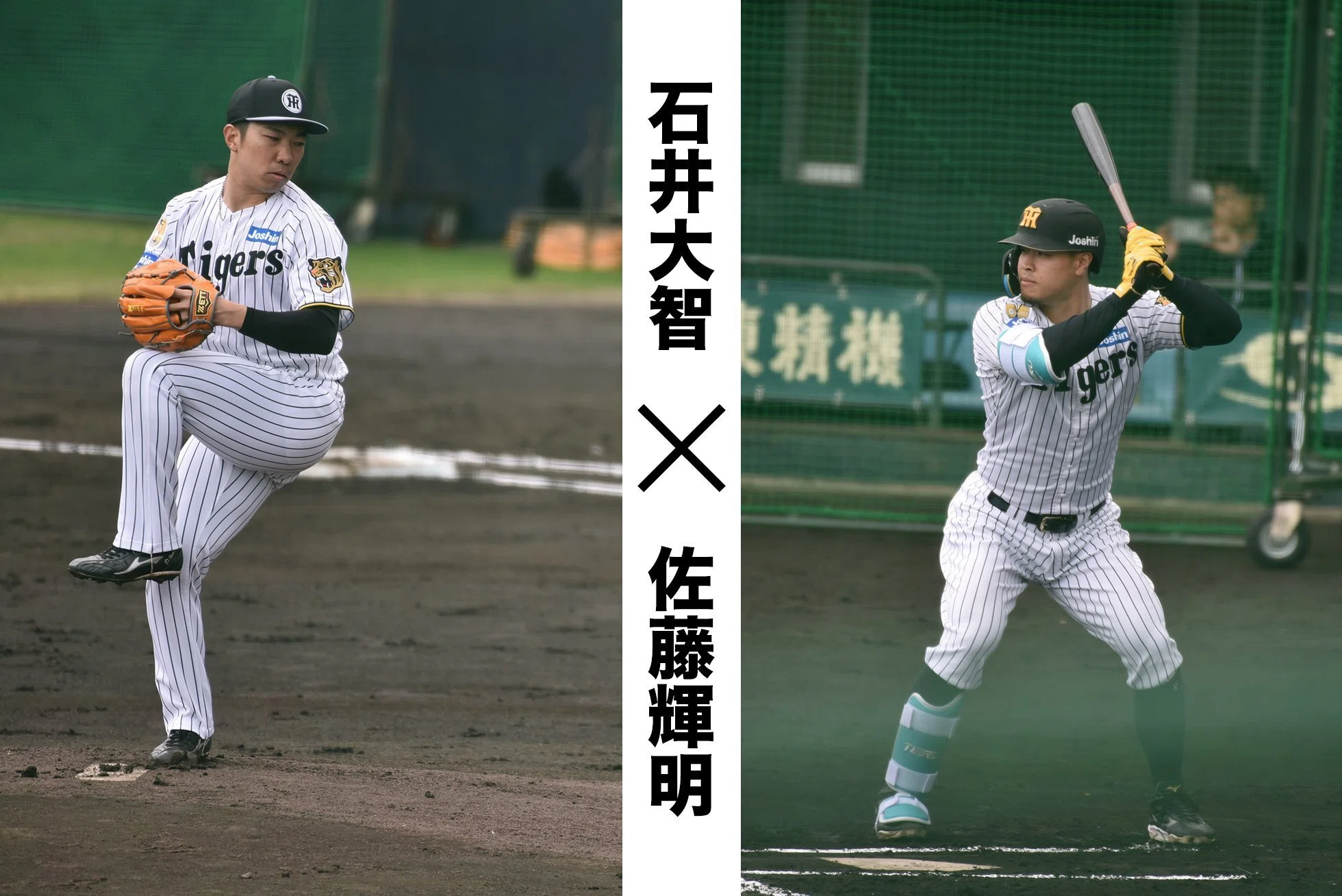 阪神タイガースの沖縄キャンプ2026を見てきたよー｜やじろべえの榎並