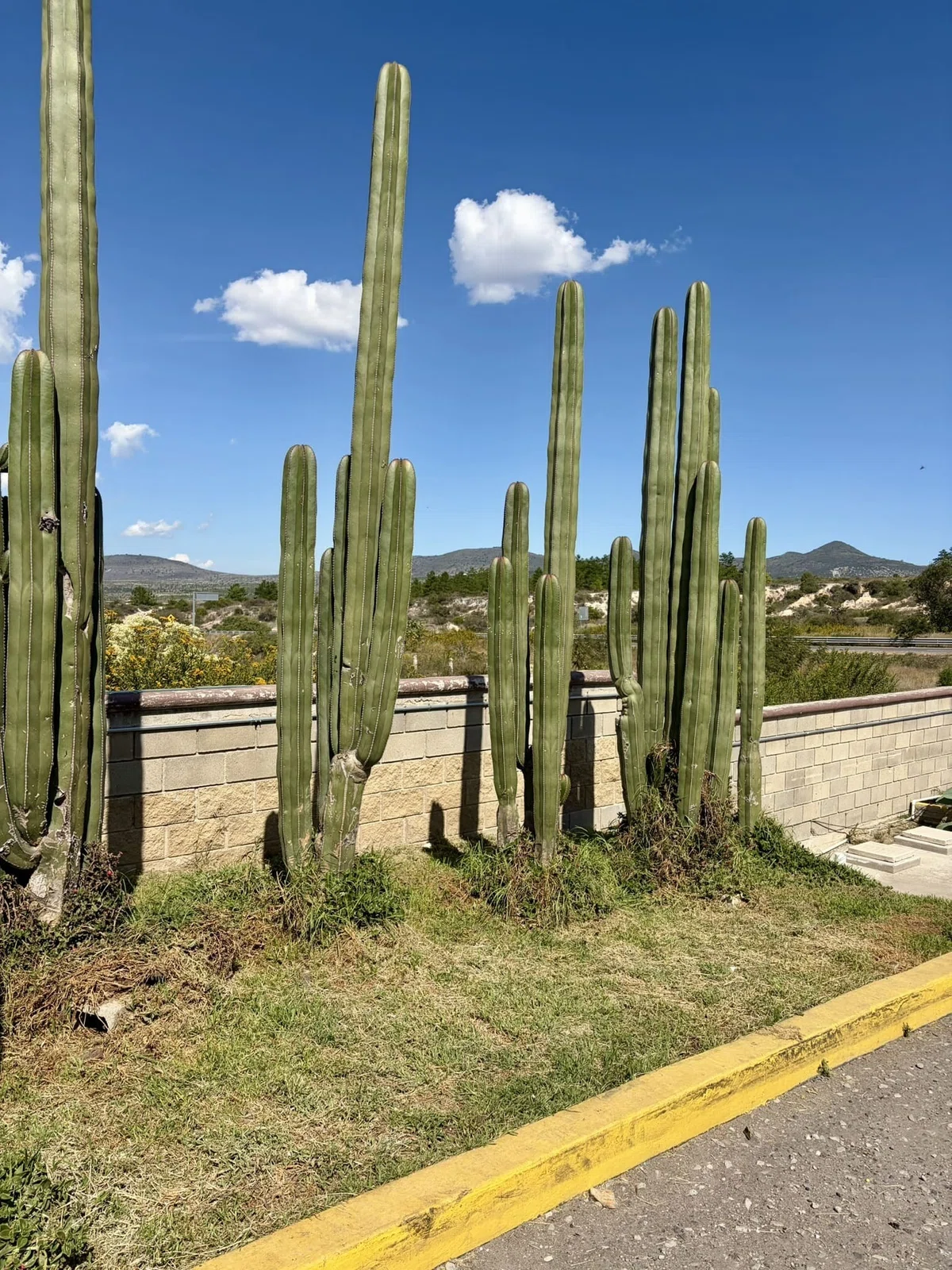 メキシコの風景