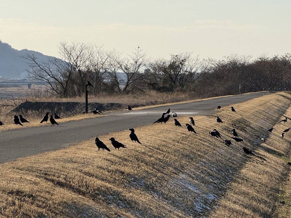 確定申告｜23（PepperBox）