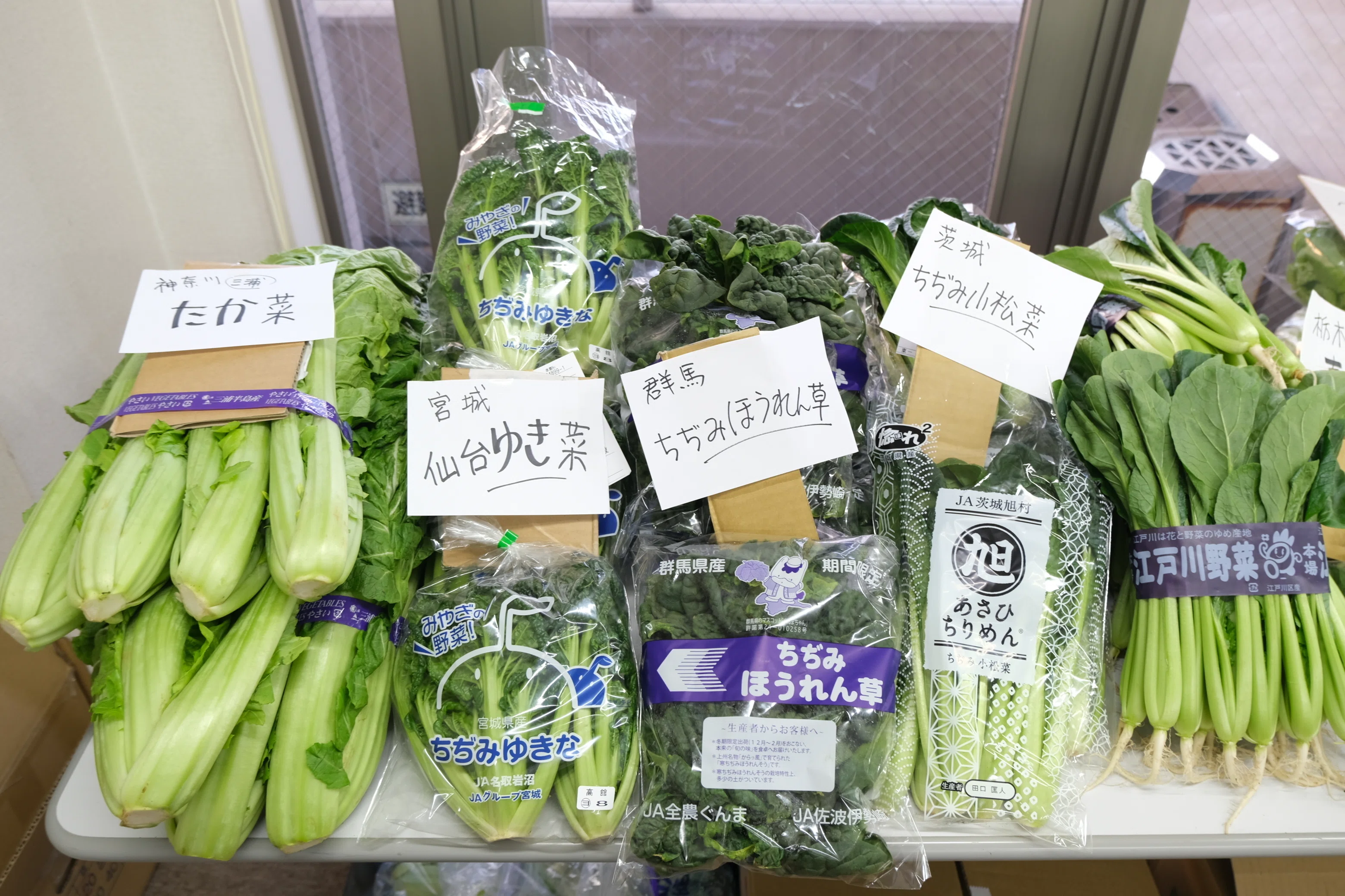八百屋塾レポート】 勉強品目：冬の葉物野菜（2026/1/18開催）｜八百屋塾