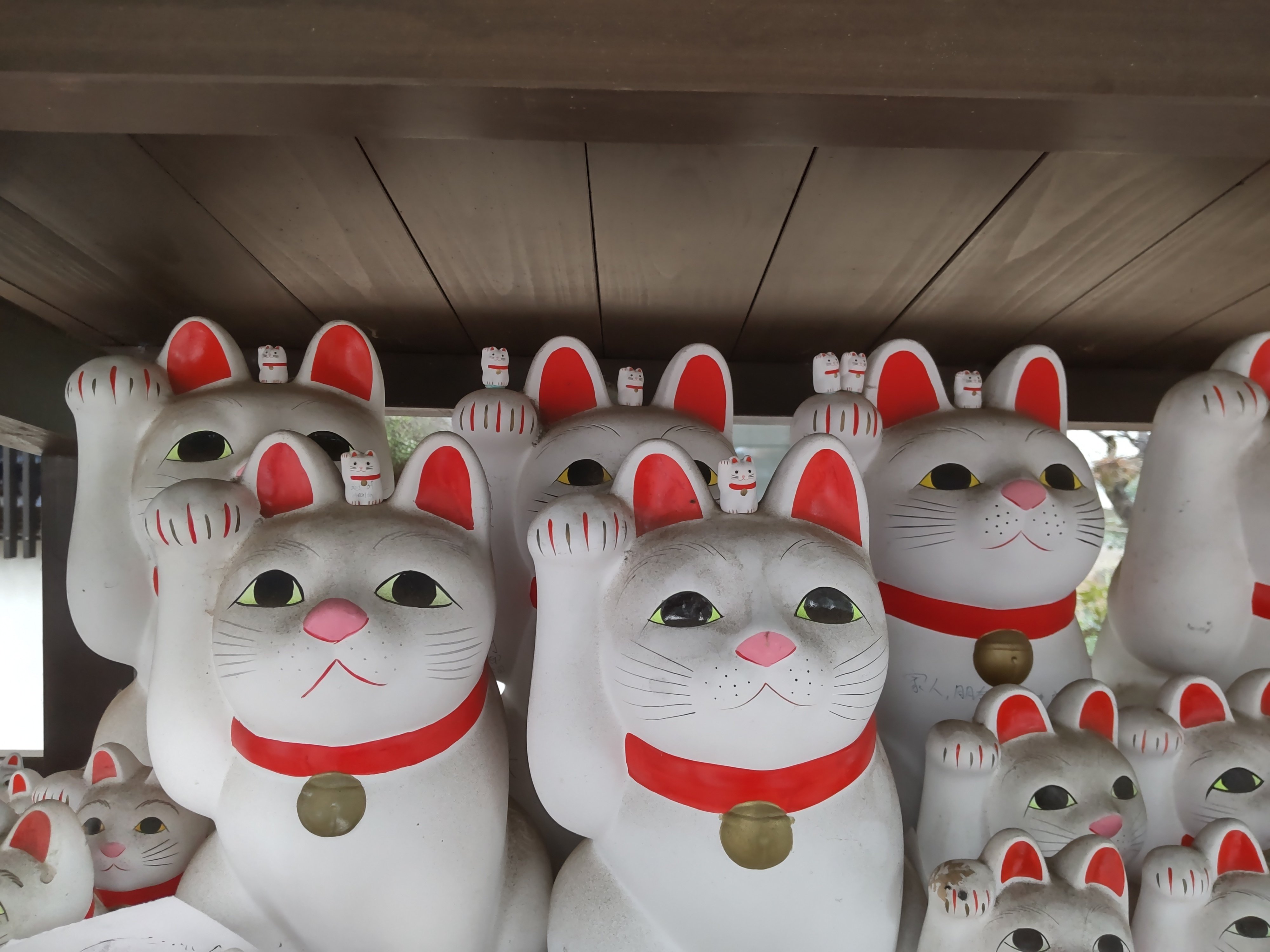 福が届きますように｜シニアメガネ