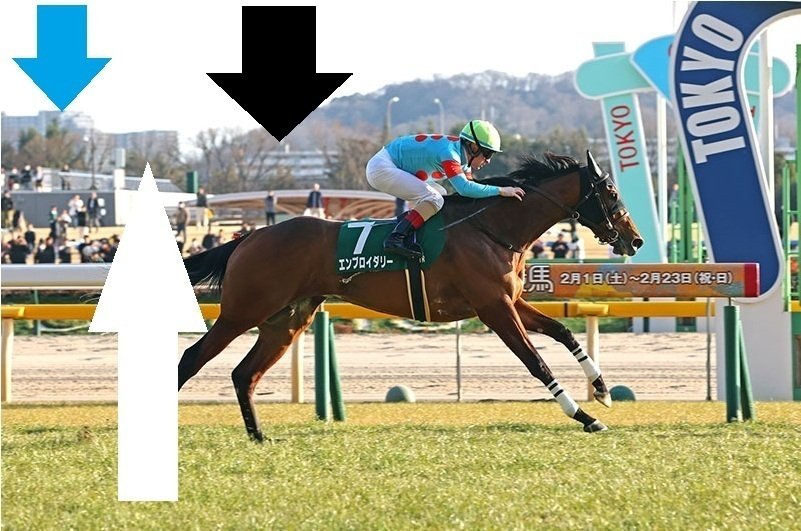 クイーンカップ2026 サイン馬券｜JRAホームページの全ての画像にサイン