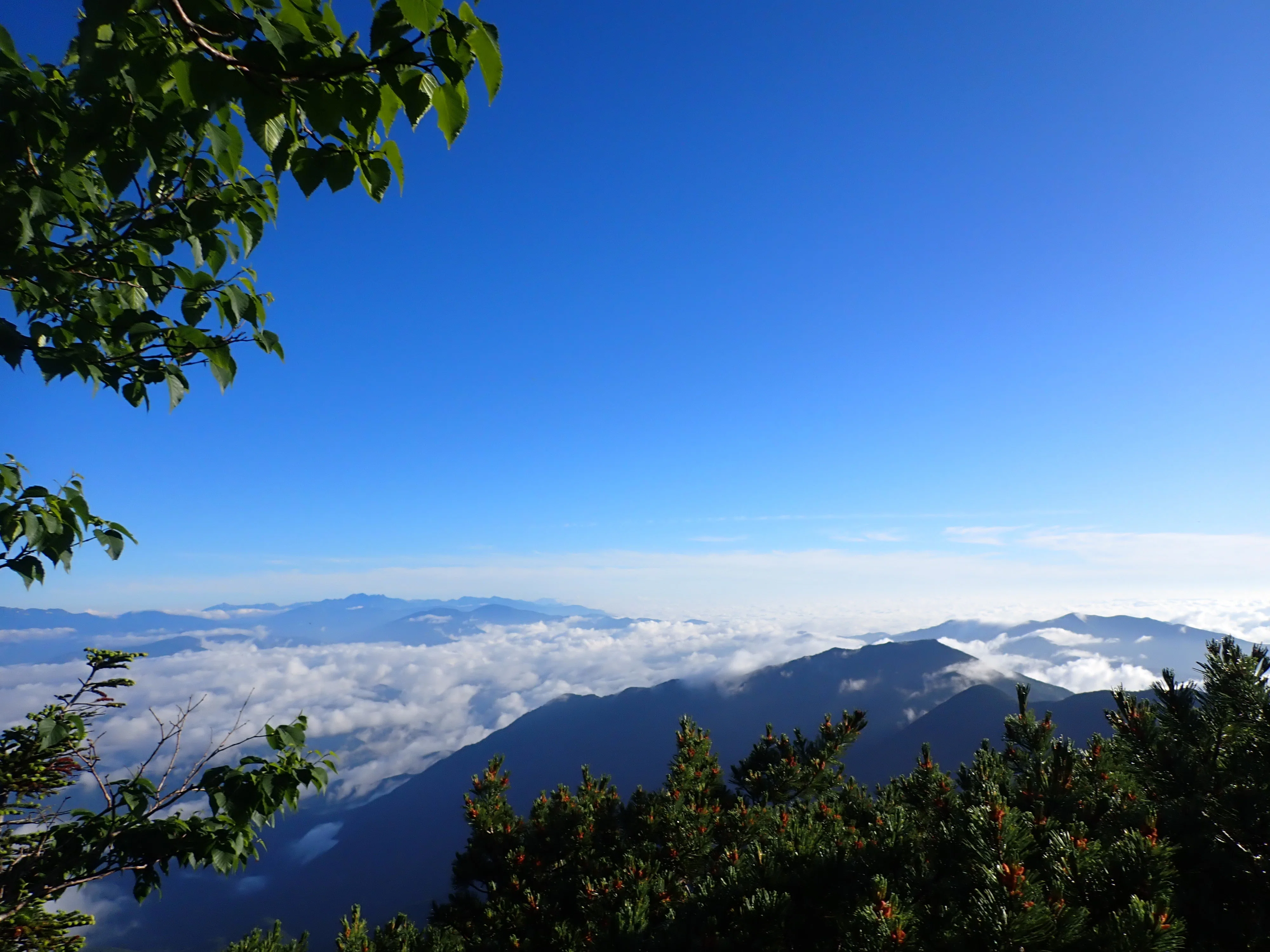 中央アルプス】木曽駒ヶ岳〜宝剣岳〜三ノ沢岳をコガラ登山口から日帰り