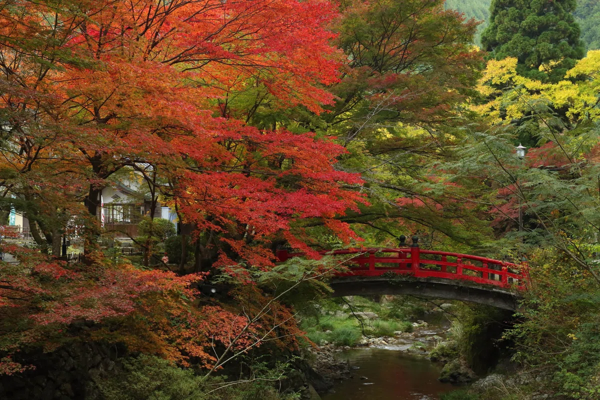 山口県長門市の大寧寺紅葉。虎渓橋と紅葉の赤が共鳴しあい美しいです。CanonのEOSシリーズを使用して撮影しています。