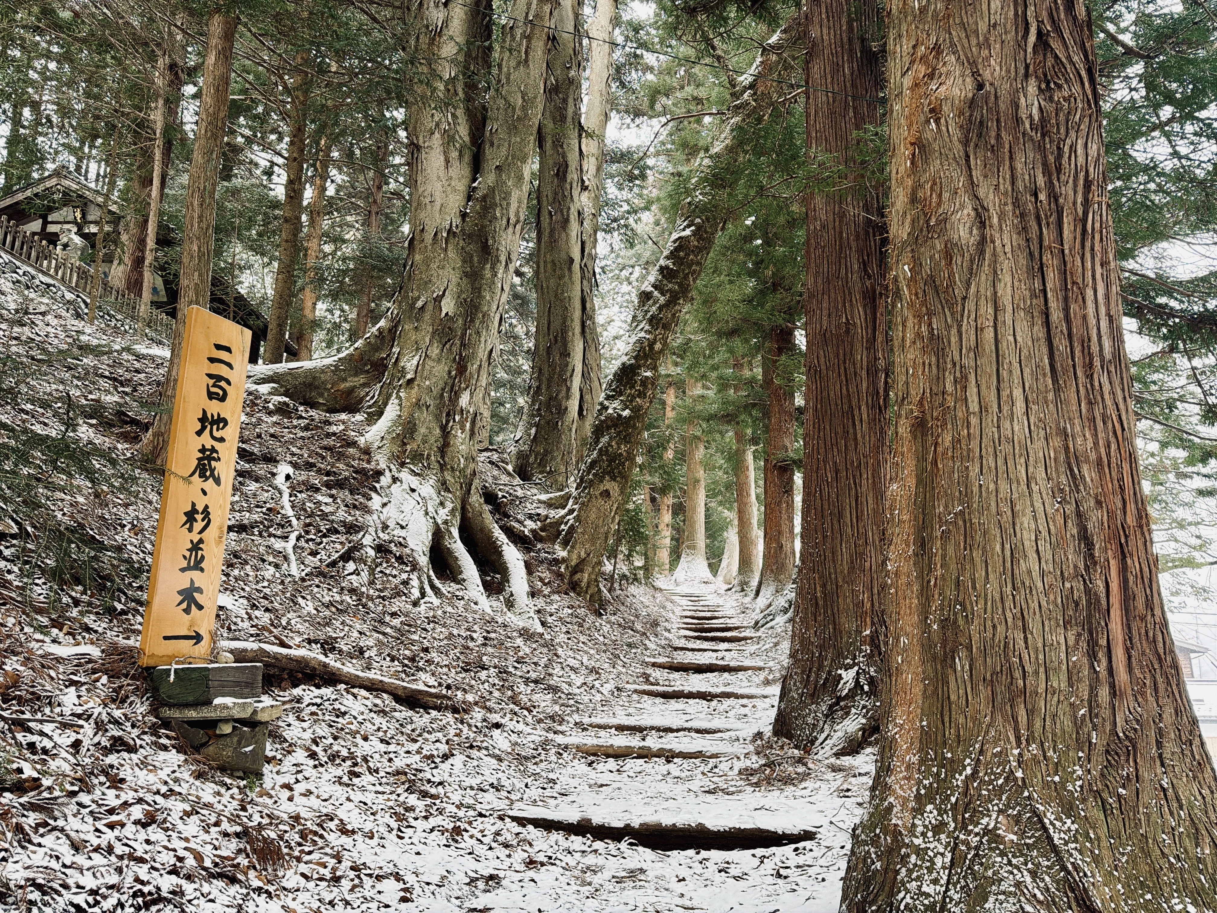 目で見る木曽の100年 白銀に染まる木曽路最大の宿場町｜【奈良井宿】｜Tomo＠旅と美食の探求Life