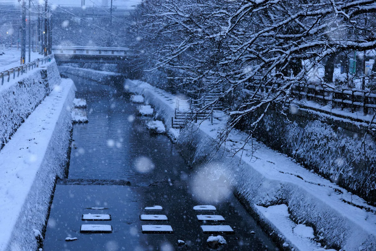 山口県周南市東川緑地公園にて。雪が降った日の写真です。