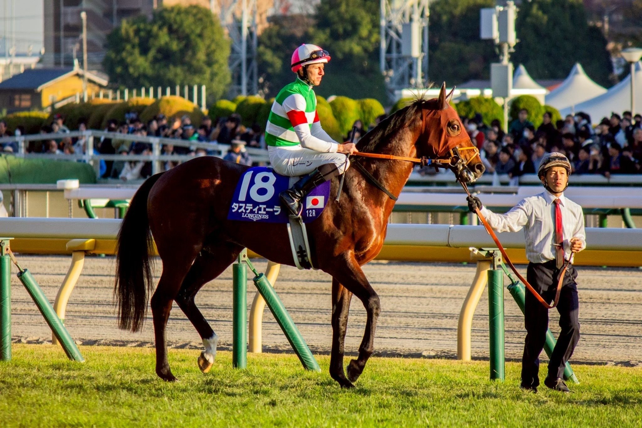 競馬写真集①（2025年10月〜11月）｜ななしの緑