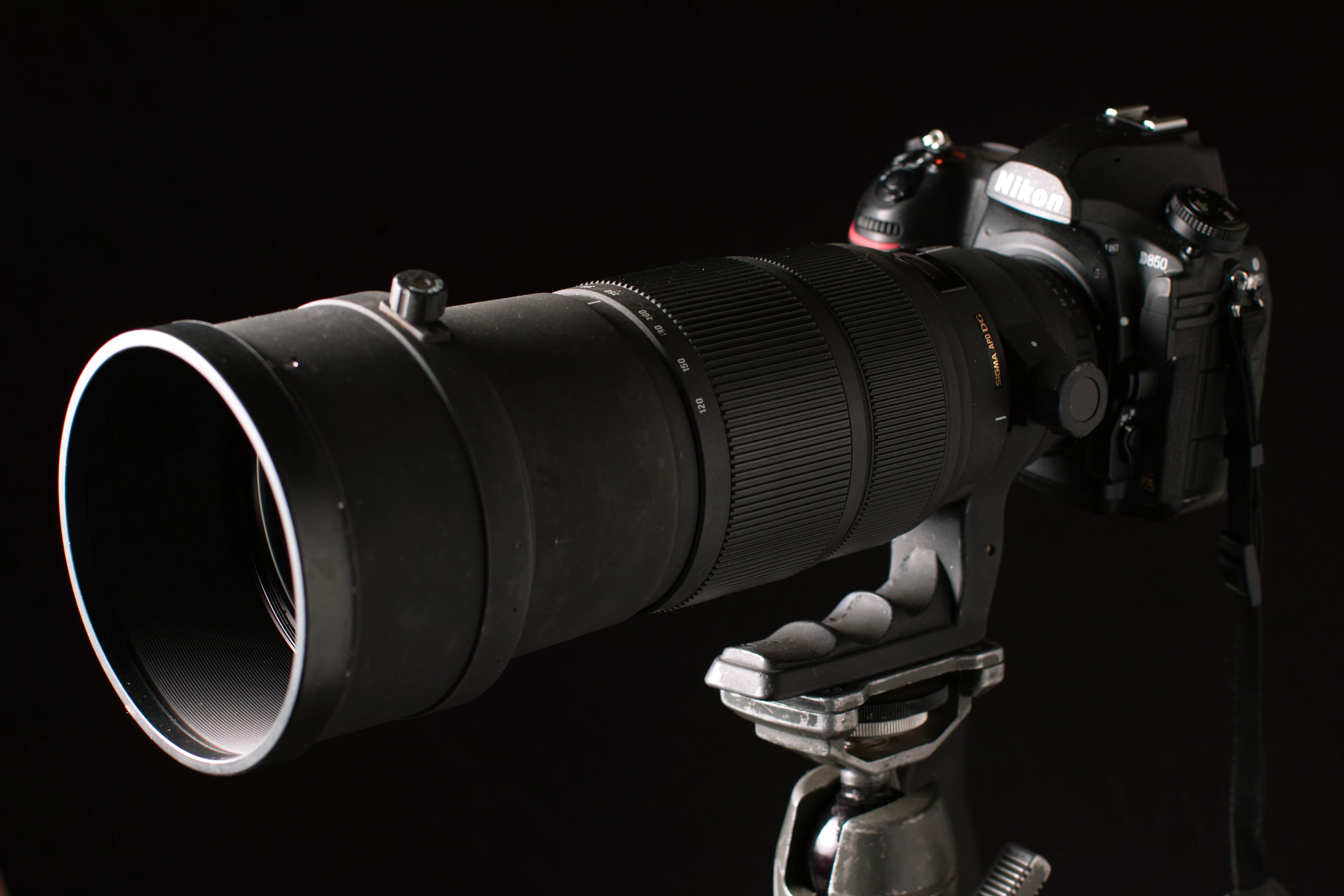最近良く使うシグマ 120-300mm F2.8｜フォト/ビデオグラファー
