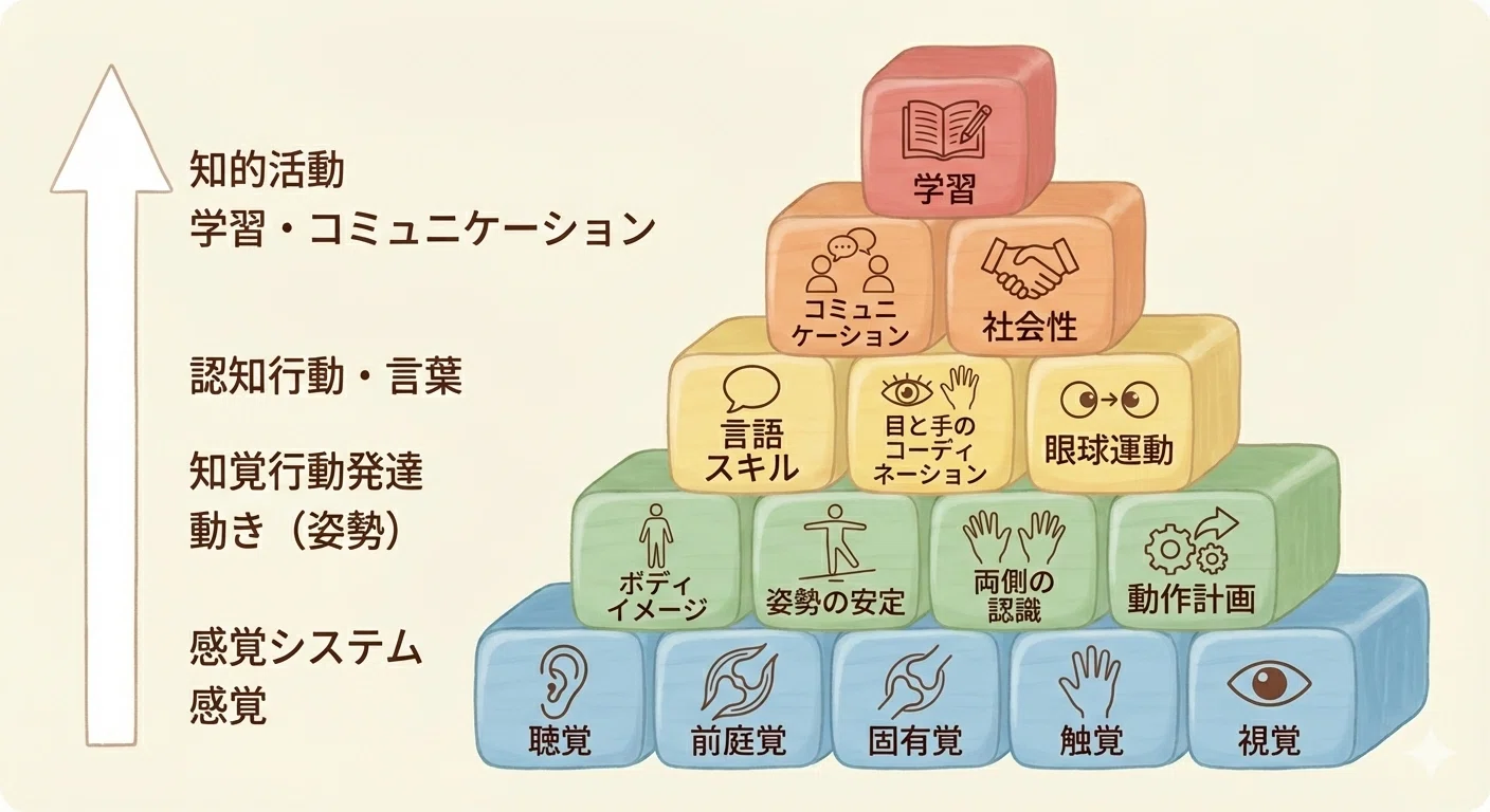 社会脳を支える「感覚統合」のひみつ｜会社役員×OT×ママ🐯デイサービス