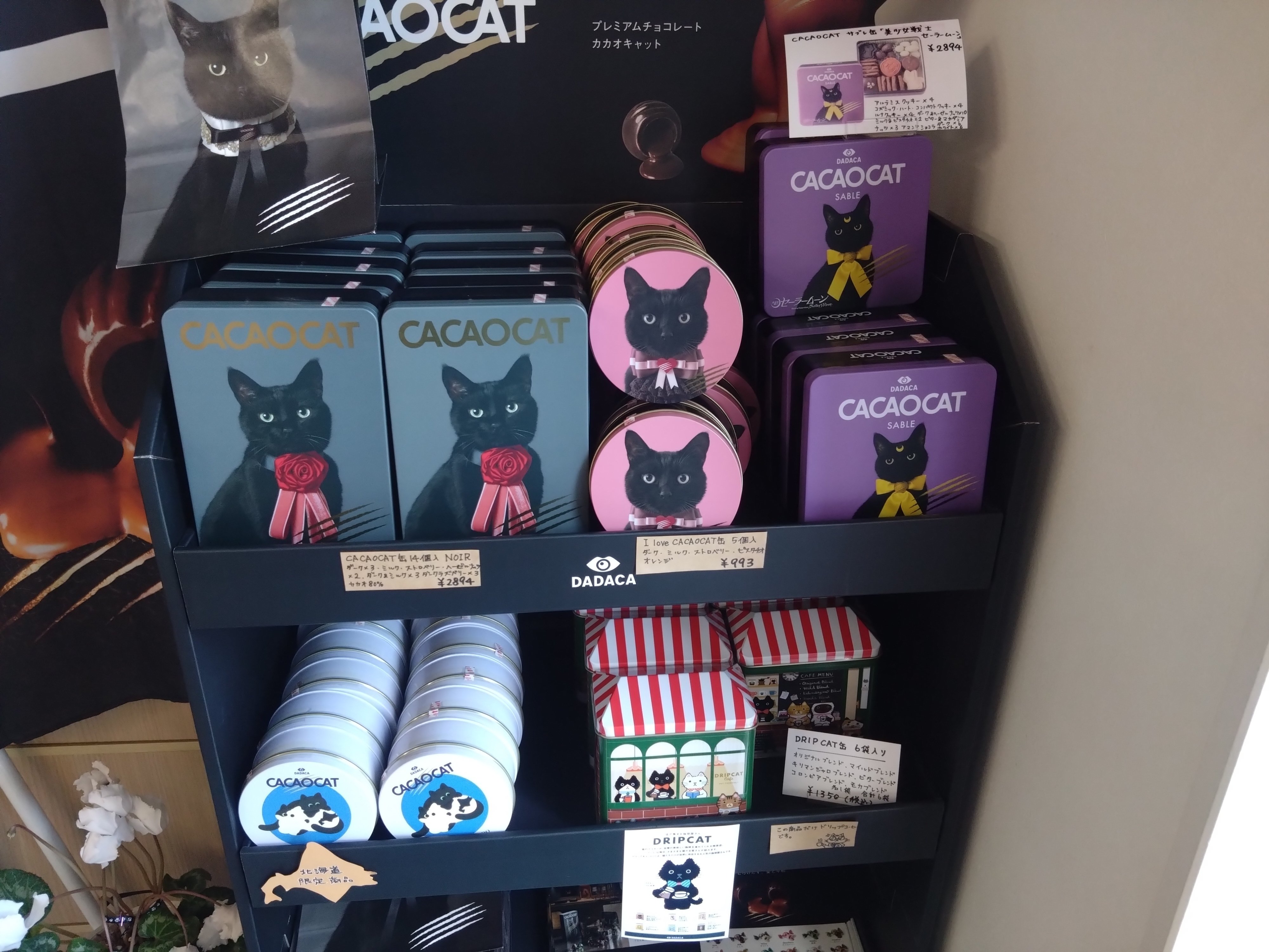 もうすぐバレンタインデー｜ねこのもりの人