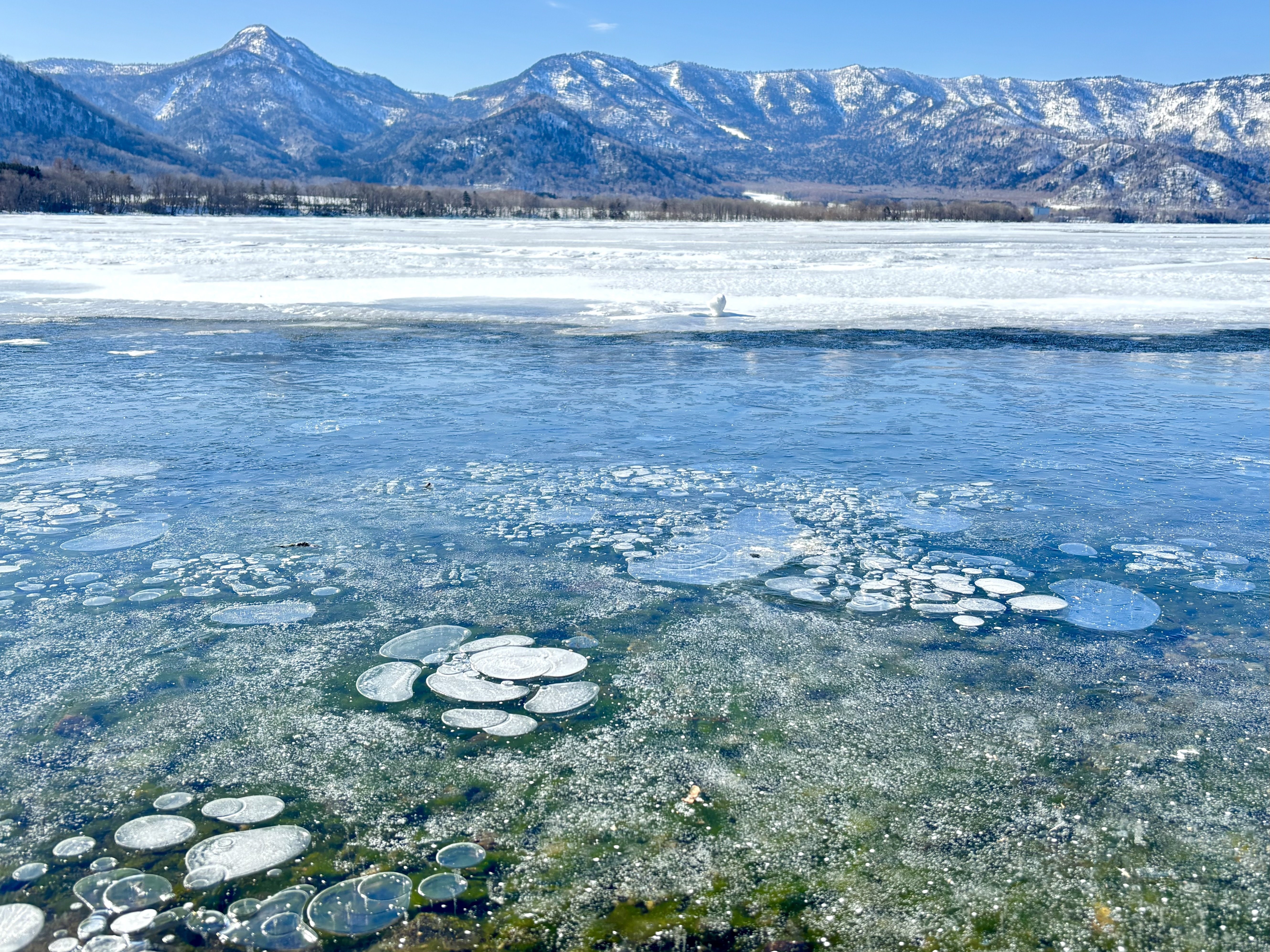 美幌峠と屈斜路湖へ｜にこにこさん