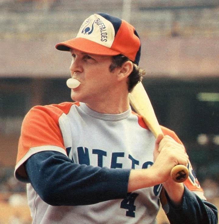 1978年 ヤクルトスワローズ(優勝・日本一)｜どいがき