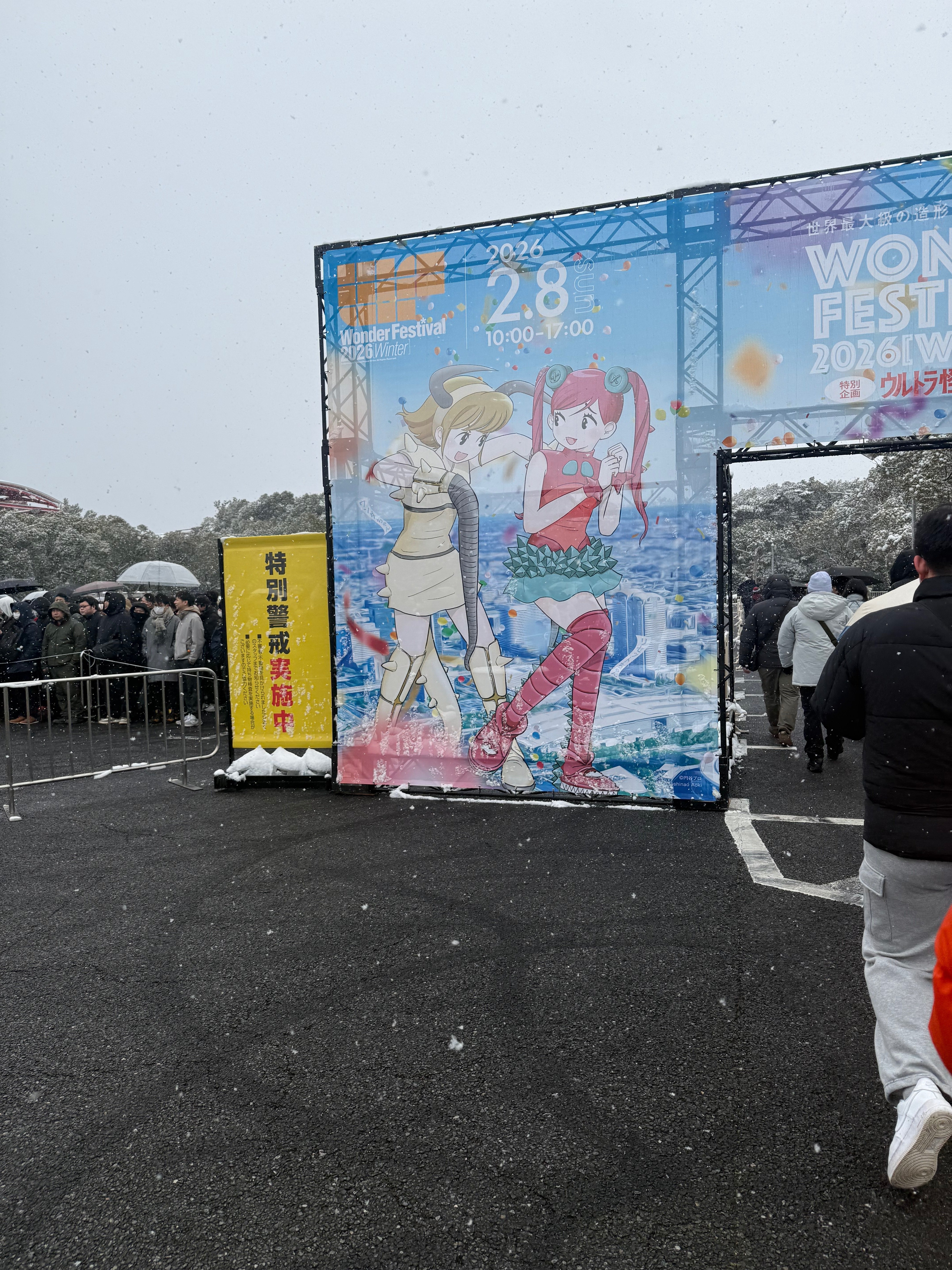 2月8日雪が酷く降っていましたが、幕張メッセでワンダーフェスティバル