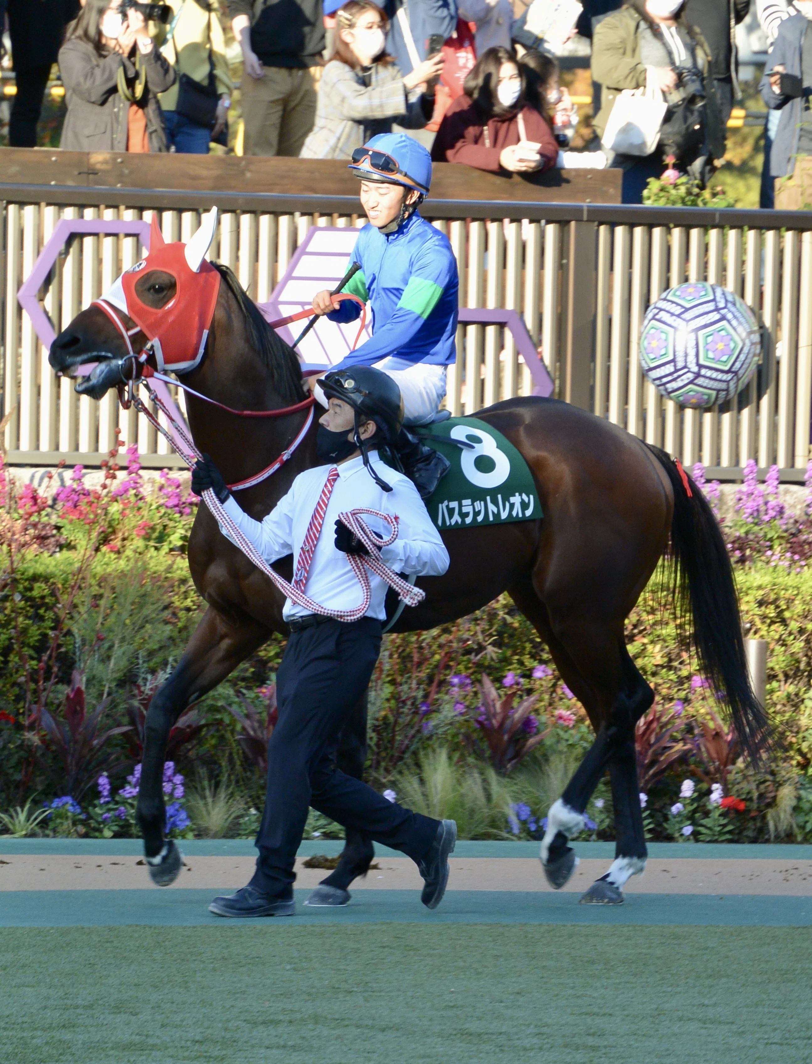 バスラットレオンと私②｜ぽてち