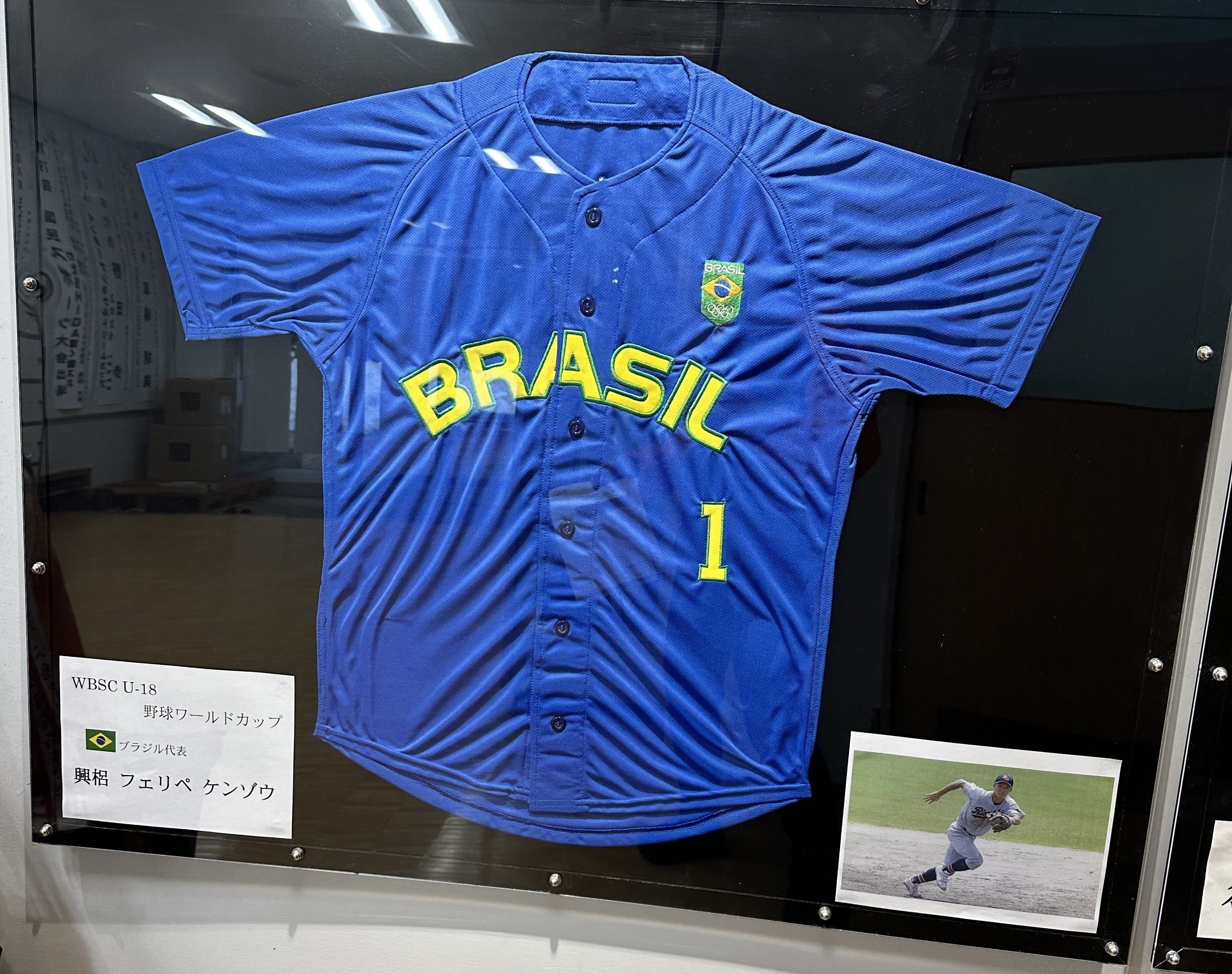 祝・WBCブラジル代表選出！🇧🇷⚾️｜北村直樹（Kitamura Naoki)