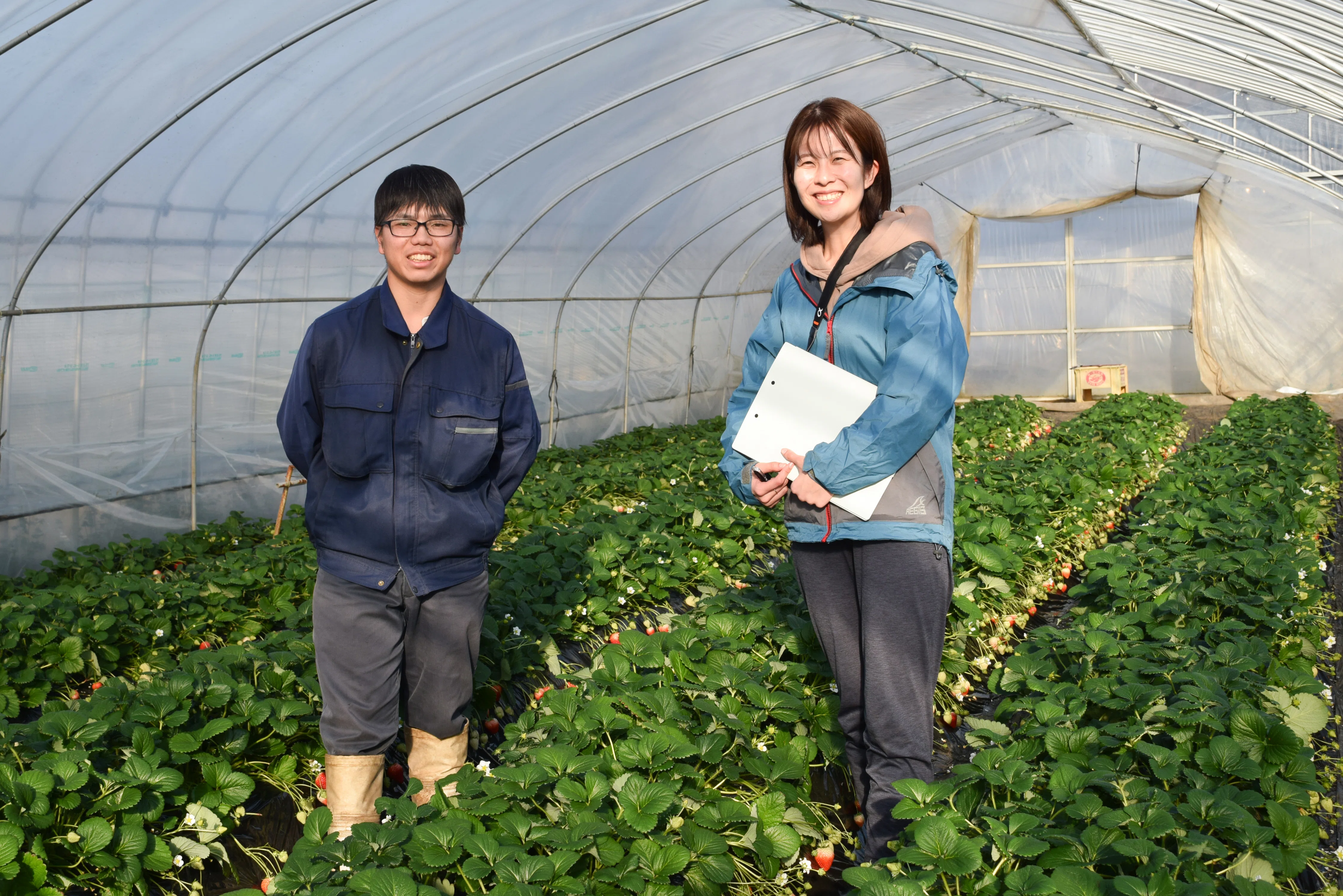 栃木県のいちご生産の未来を担う26歳農家が語る「農業を感じる一歩は