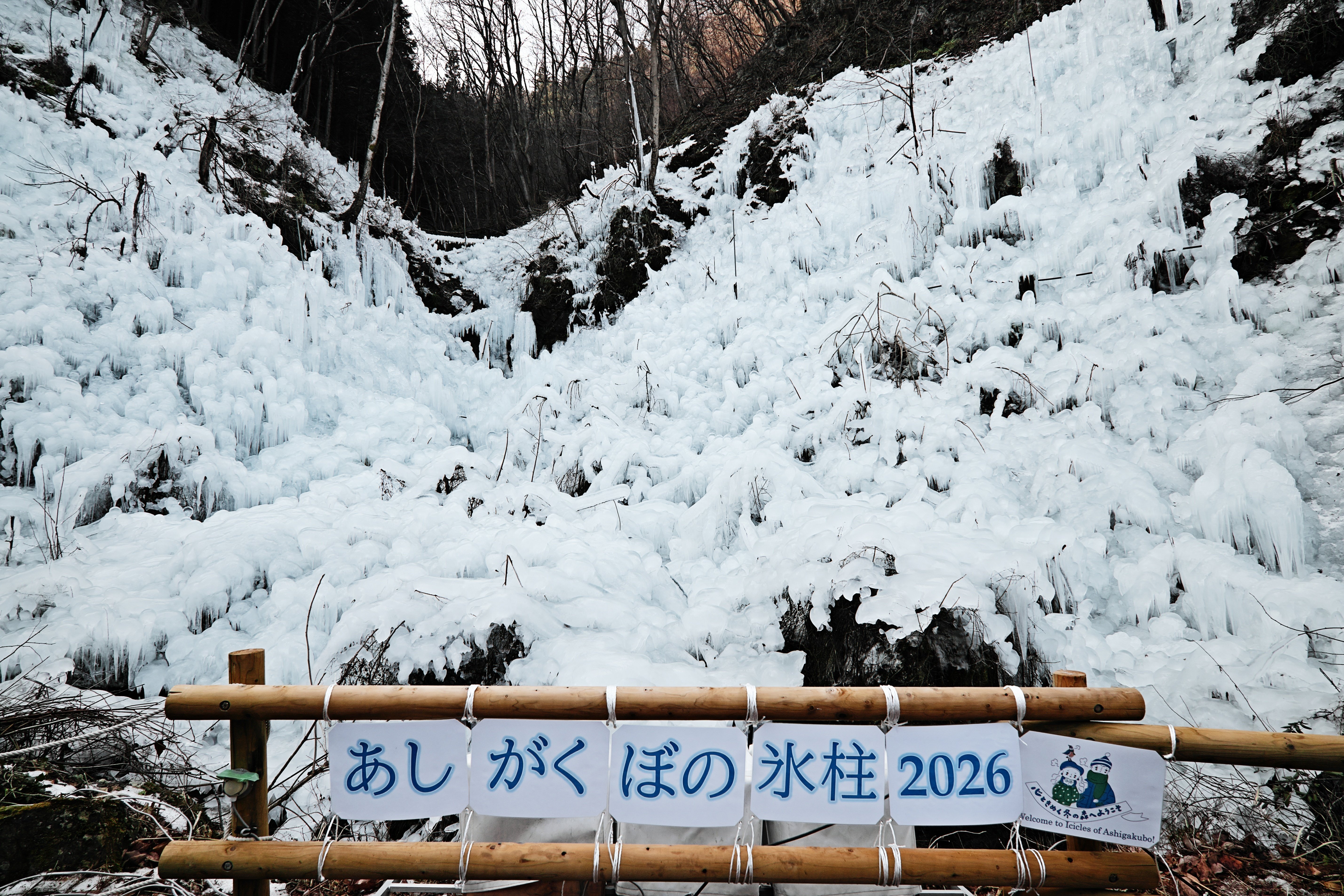 作例集】あしがくぼの氷柱を20–200mm F3.5–6.3 DG | Contemporaryと