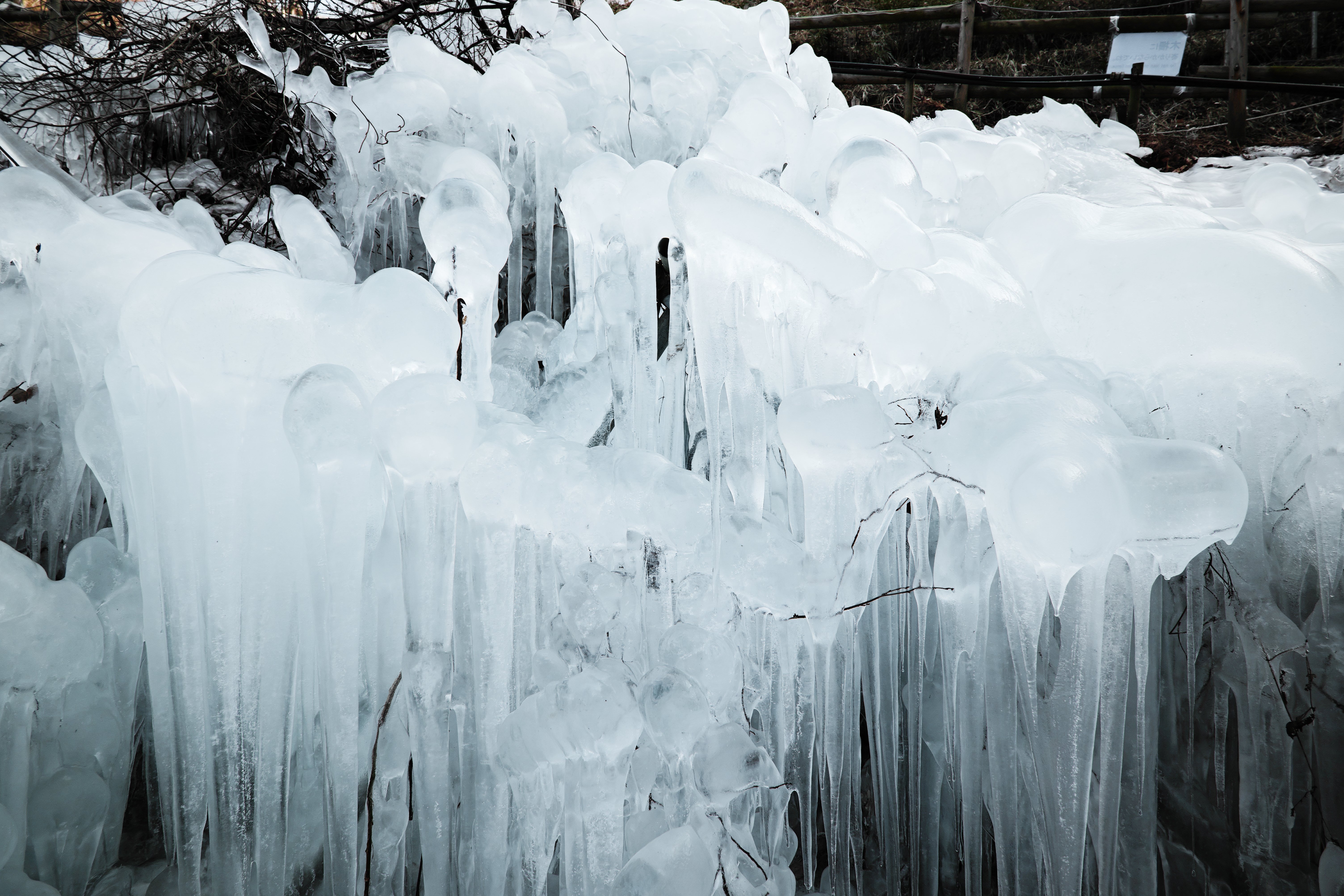 作例集】あしがくぼの氷柱を20–200mm F3.5–6.3 DG | Contemporaryと