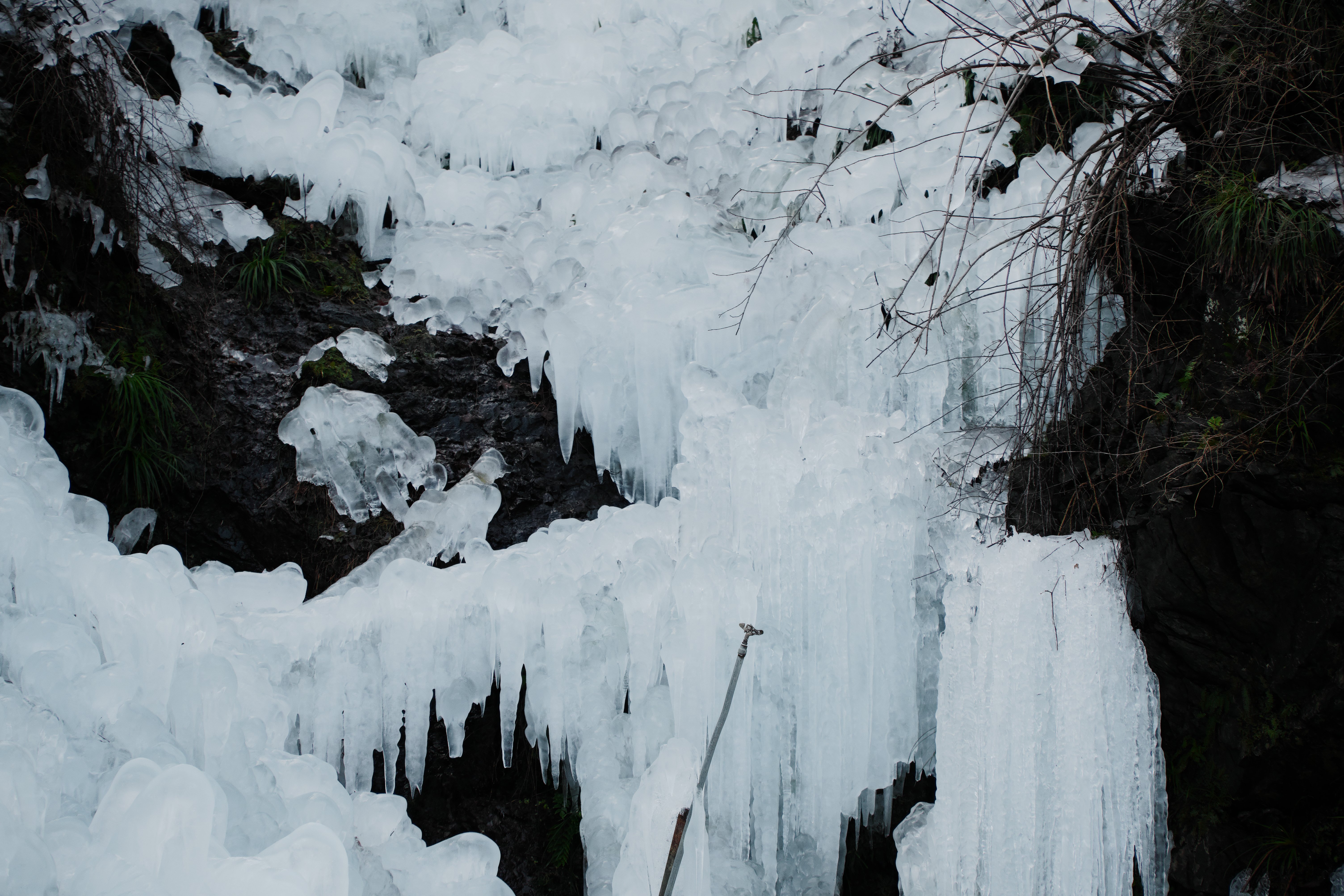 作例集】あしがくぼの氷柱を20–200mm F3.5–6.3 DG | Contemporaryと