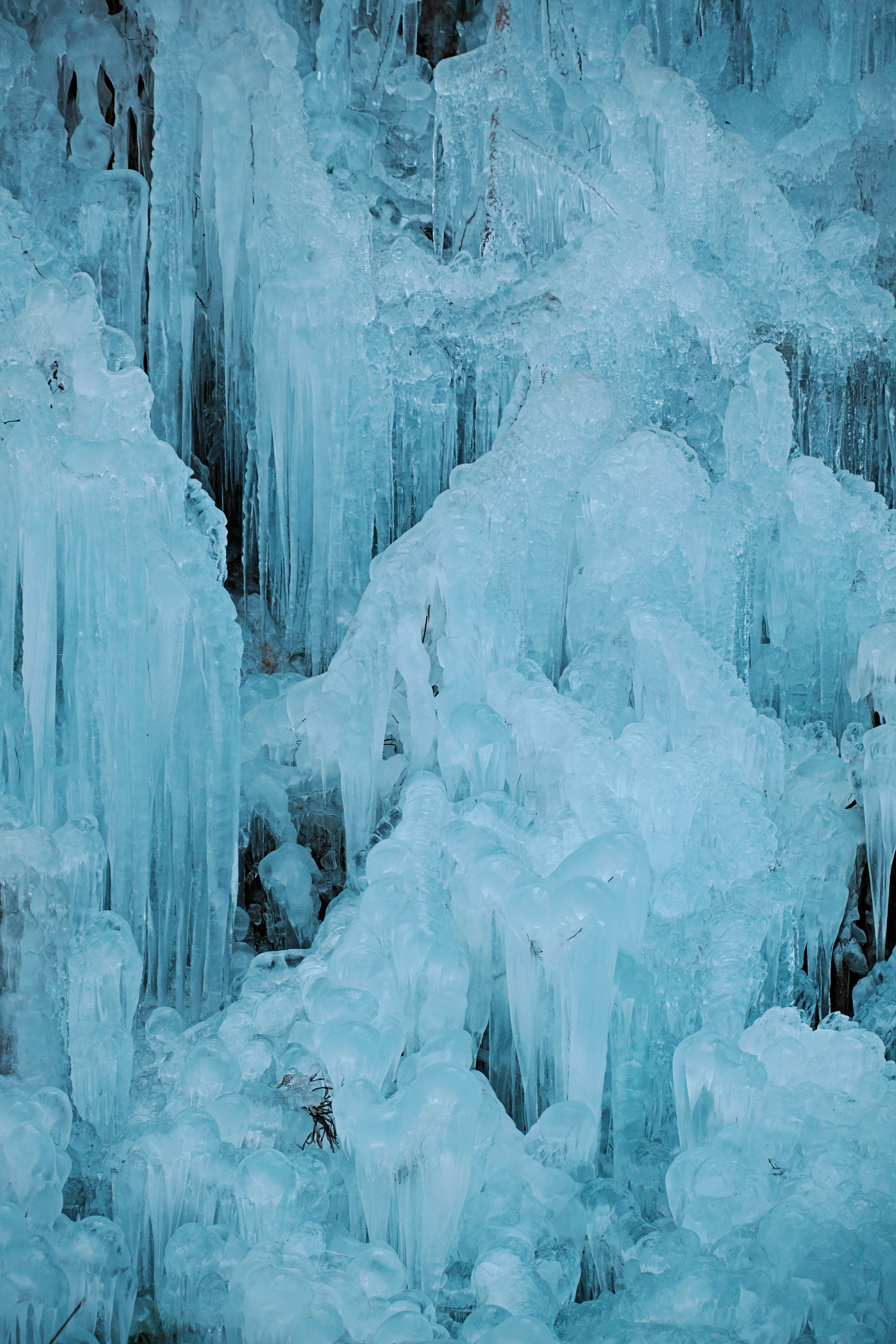 作例集】あしがくぼの氷柱を20–200mm F3.5–6.3 DG | Contemporaryと