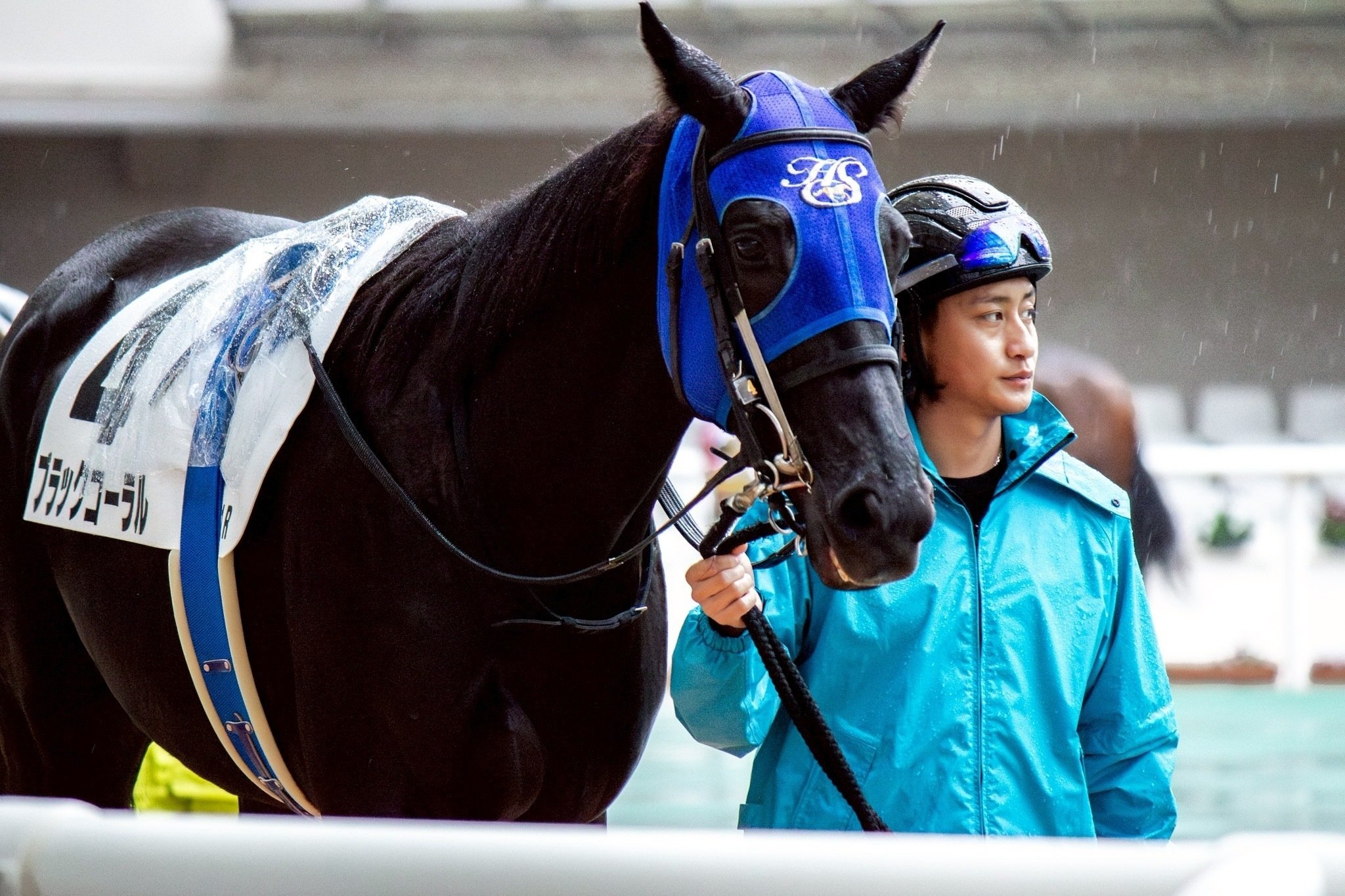 競馬写真集③（2025年12月後半）｜ななしの緑
